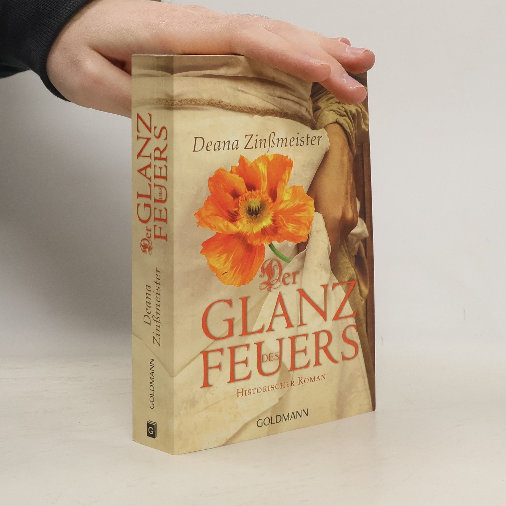 Deana Zinßmeister Der Glanz des Feuers