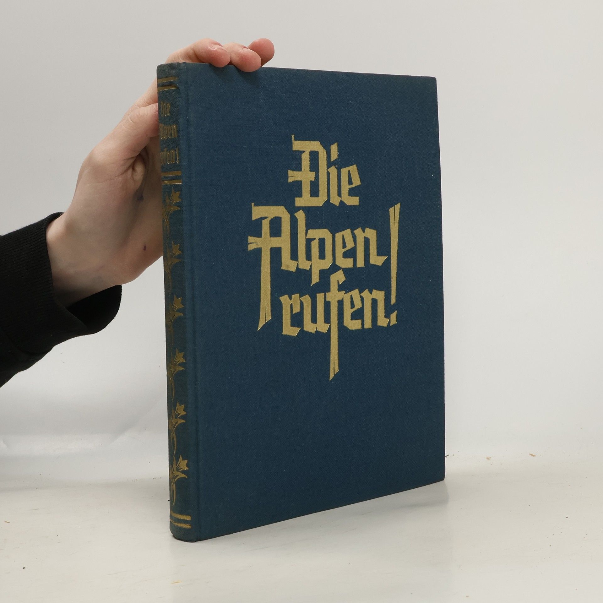 Karl Oswald Koch Die Alpen rufen!