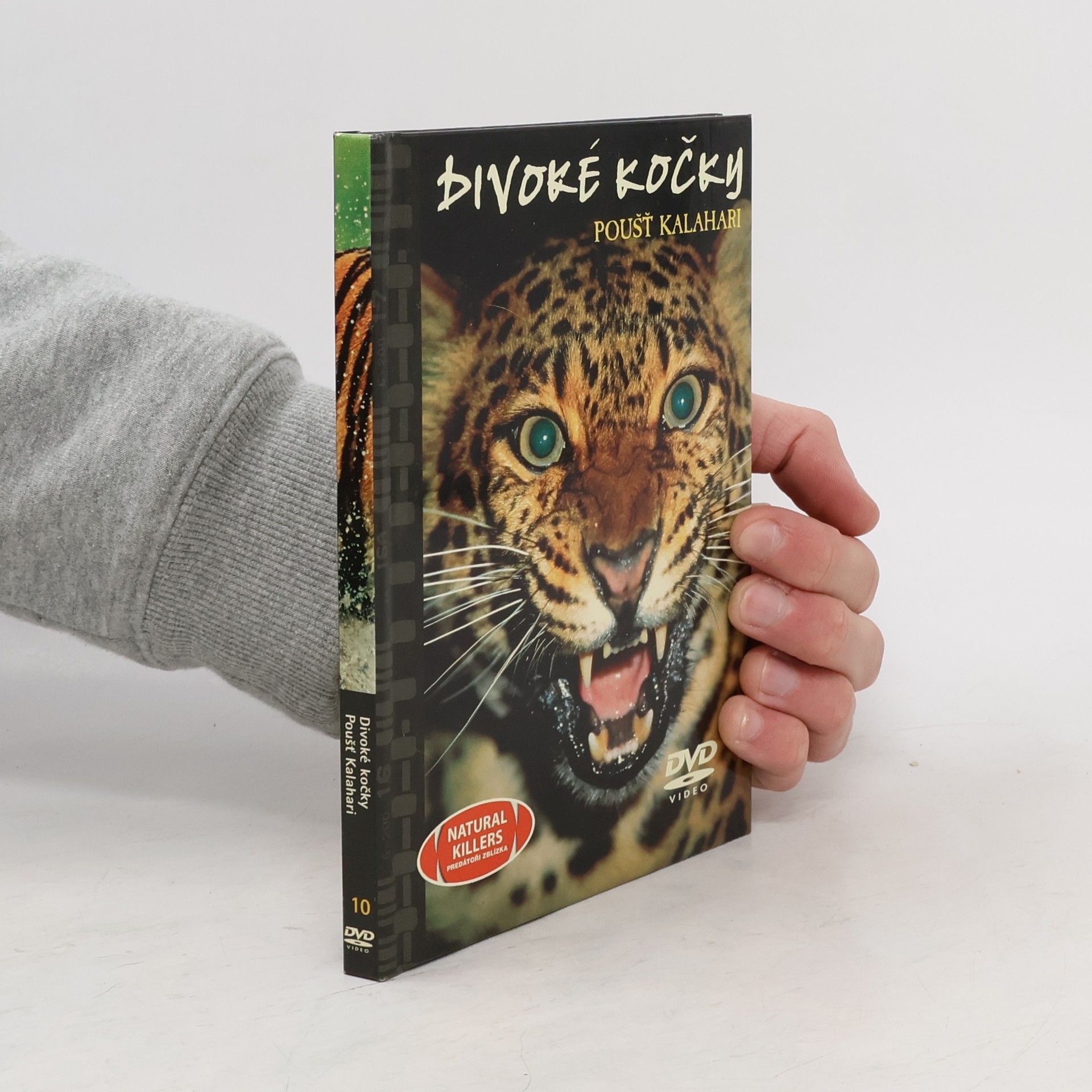 Autorenkollektiv Divoké kočky. Poušť Kalahari