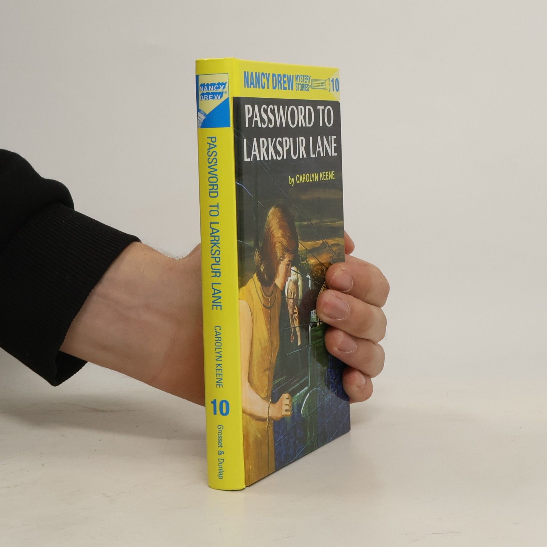 Carolyn Keene Password to Larkspur Lane