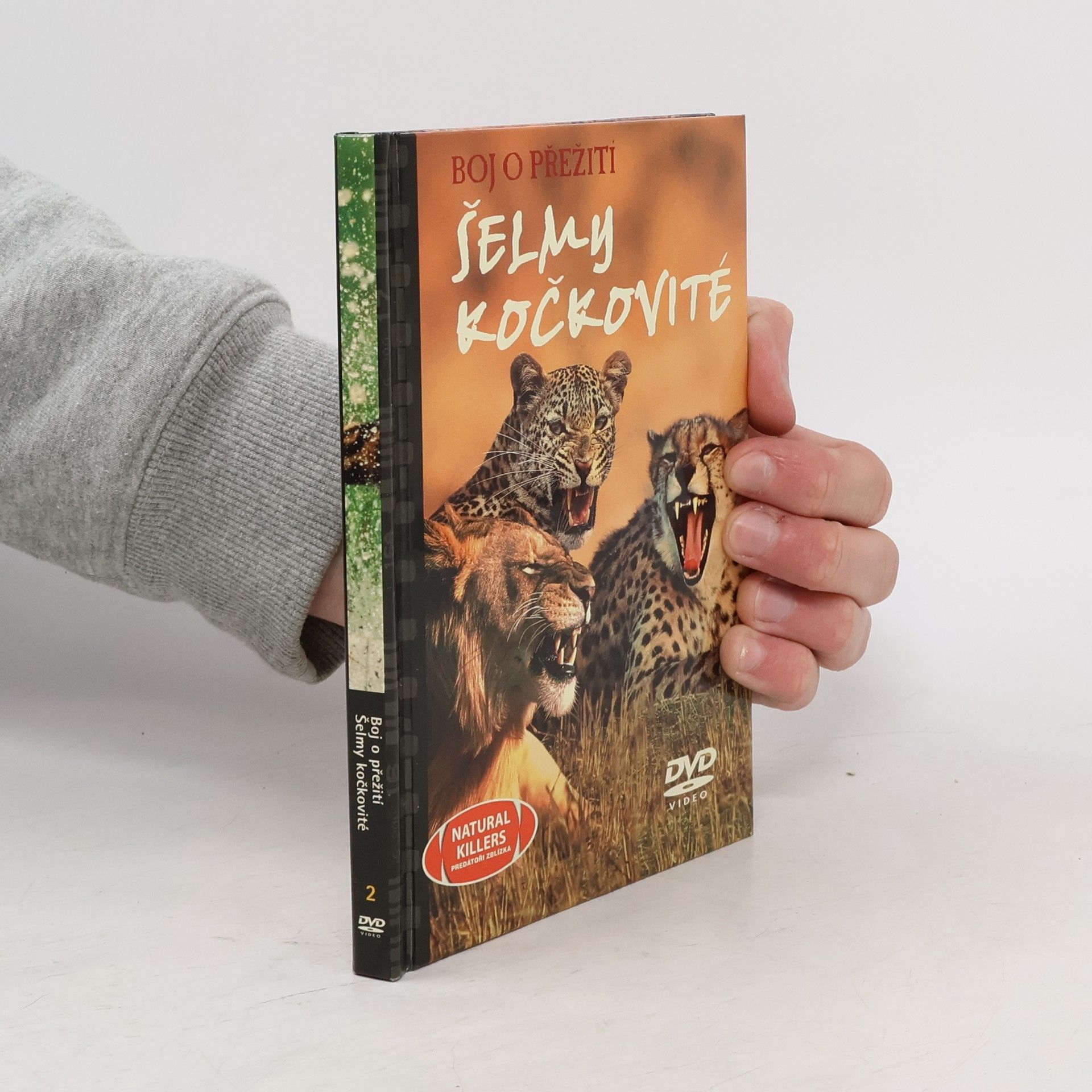 Autorenkollektiv Boj o přežití. Šelmy kočkovité