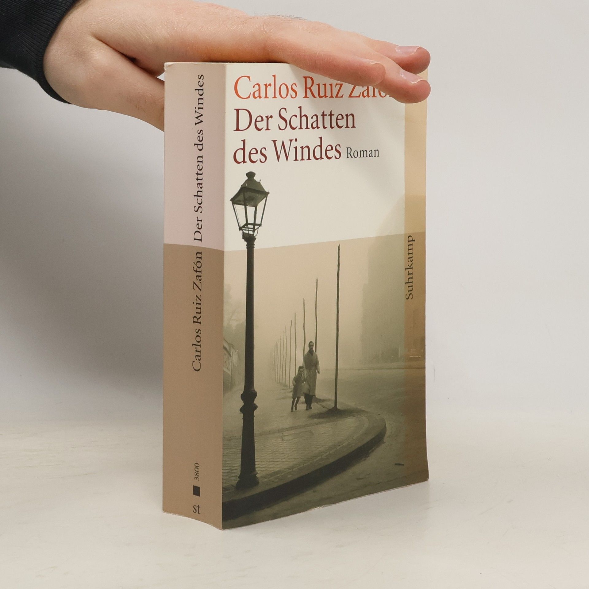 Der Schatten des Windes