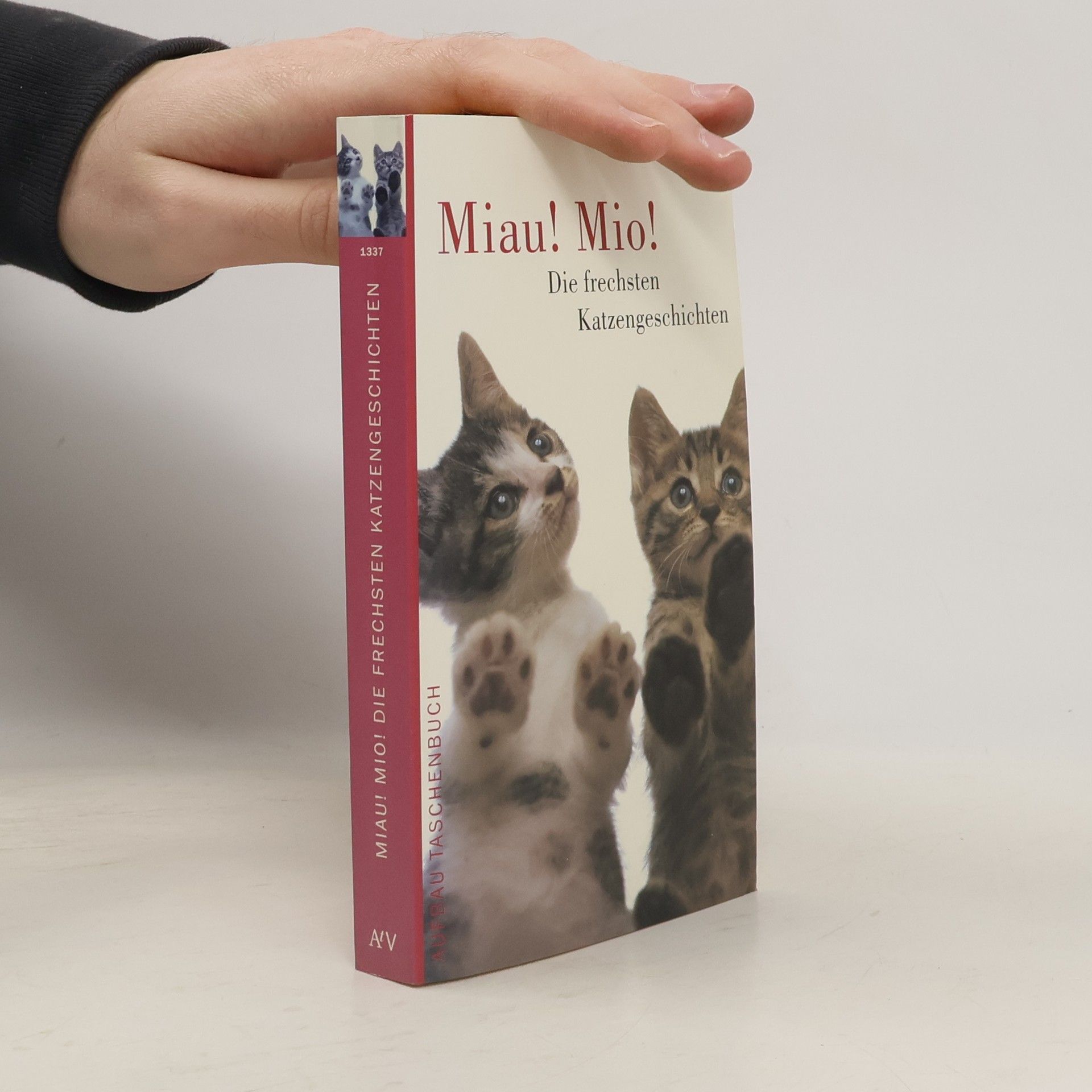 Lesley OMara Miau! Mio!