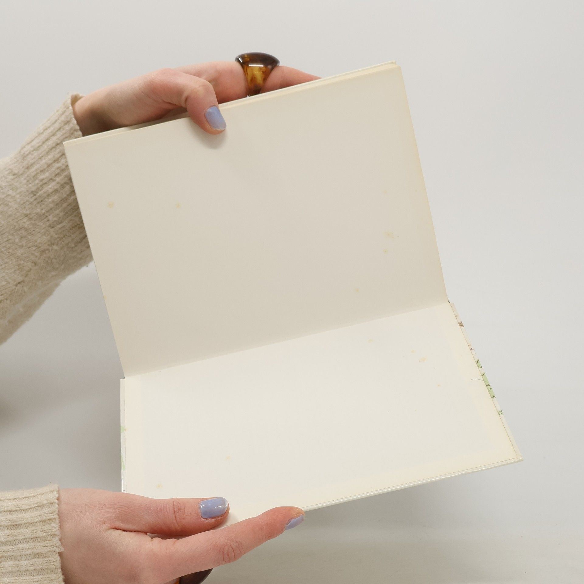 Georg Julen Wörterbuch der Zermatter Mundart