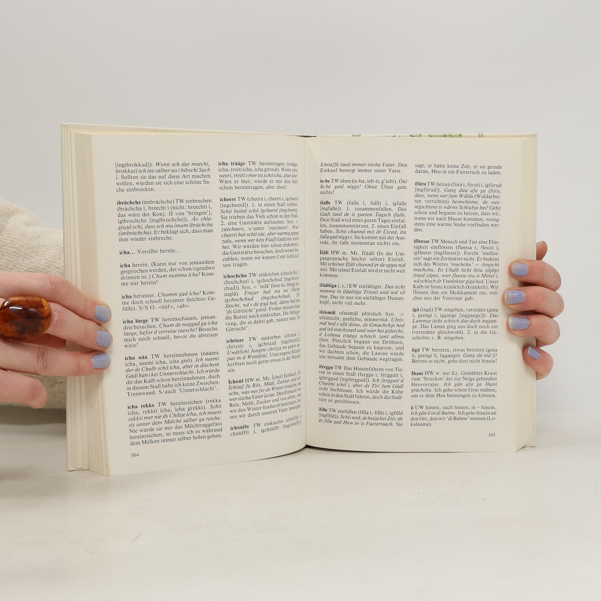 Georg Julen Wörterbuch der Zermatter Mundart