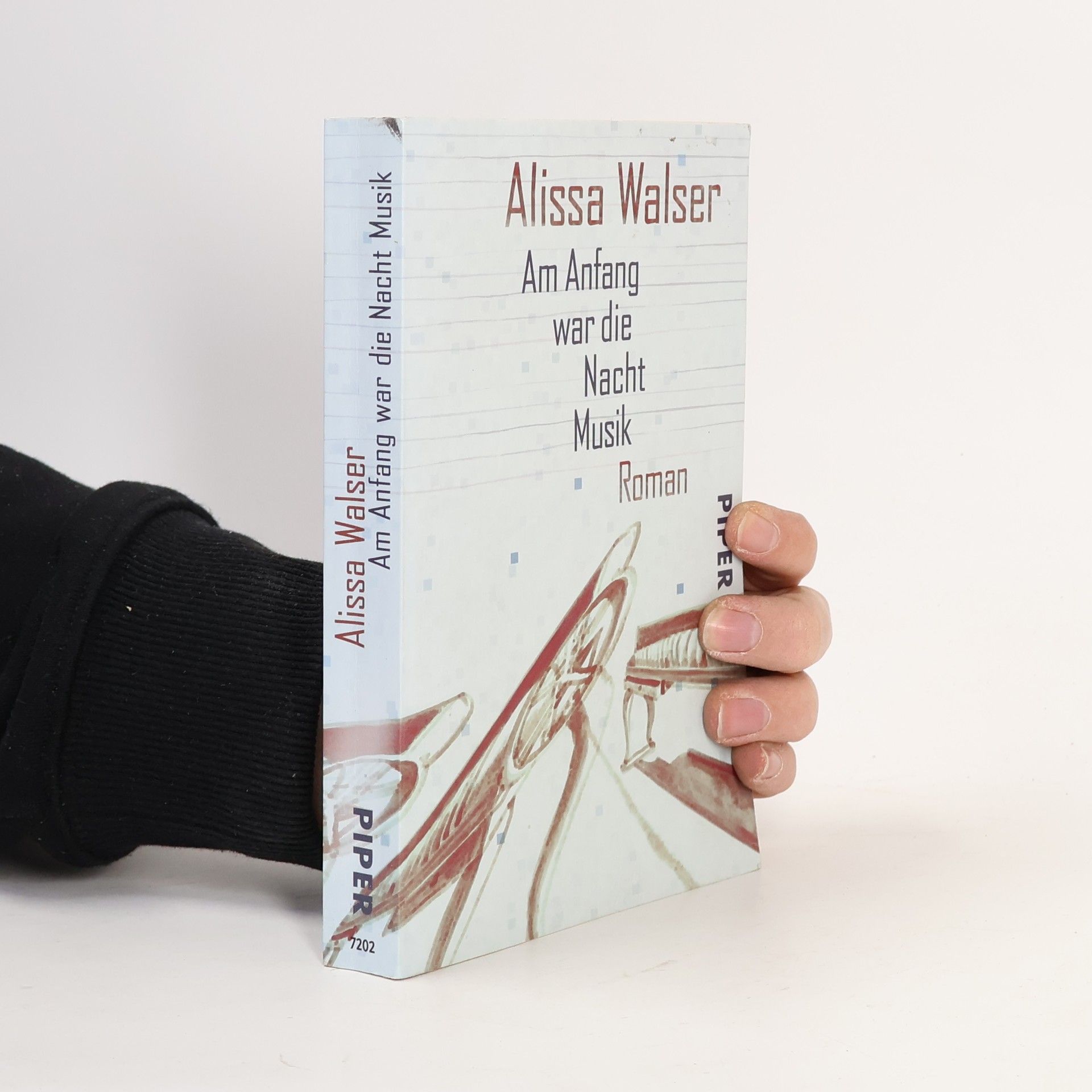 Alissa Walser Am Anfang war die Nacht Musik
