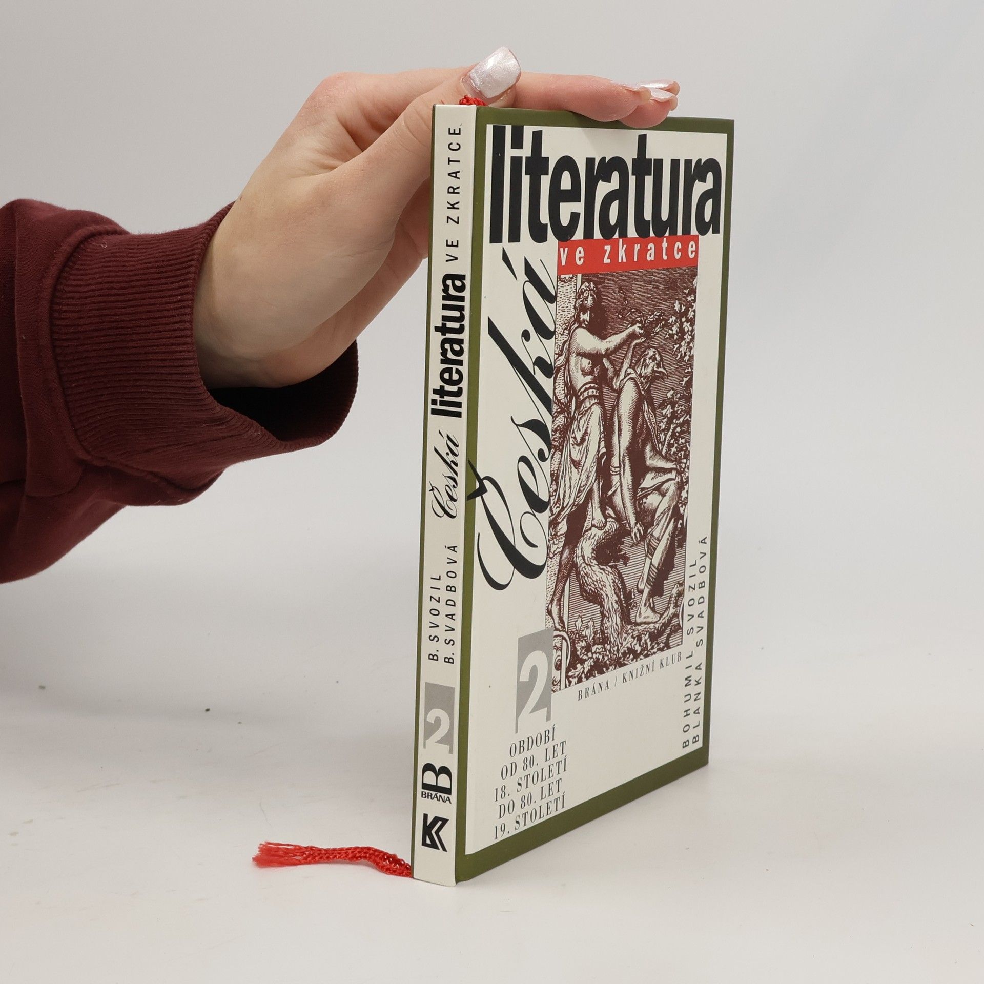 Česká literatura ve zkratce (2. díl)