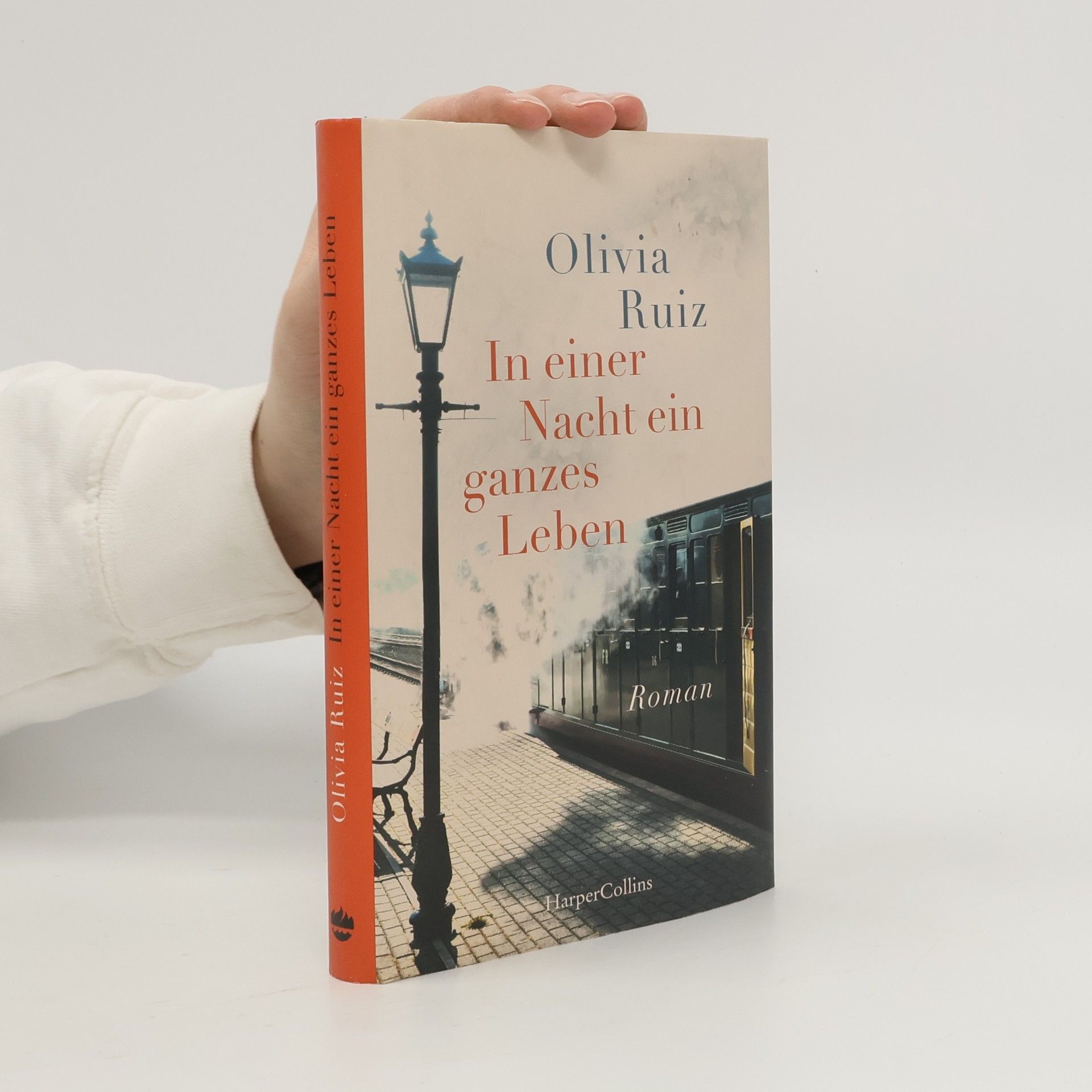 Olivia Ruiz In einer Nacht ein ganzes Leben