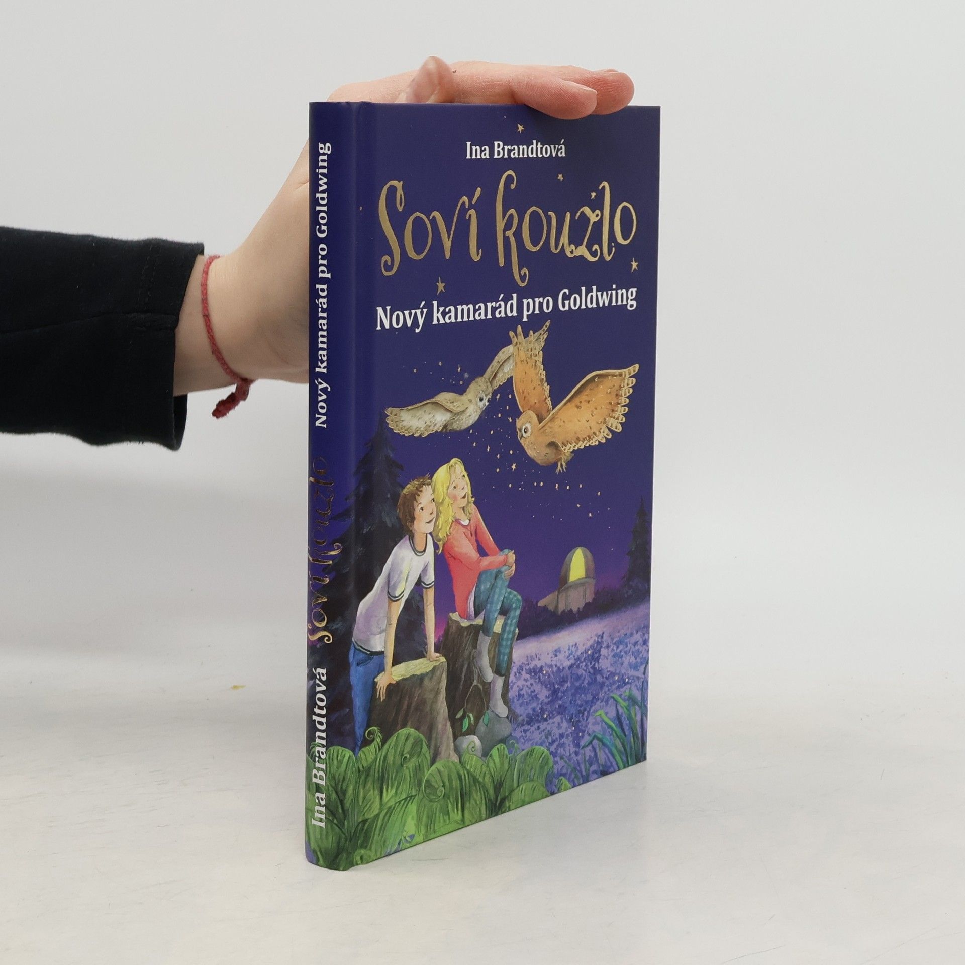 Soví kouzlo. Nový kamarád pro Goldwing