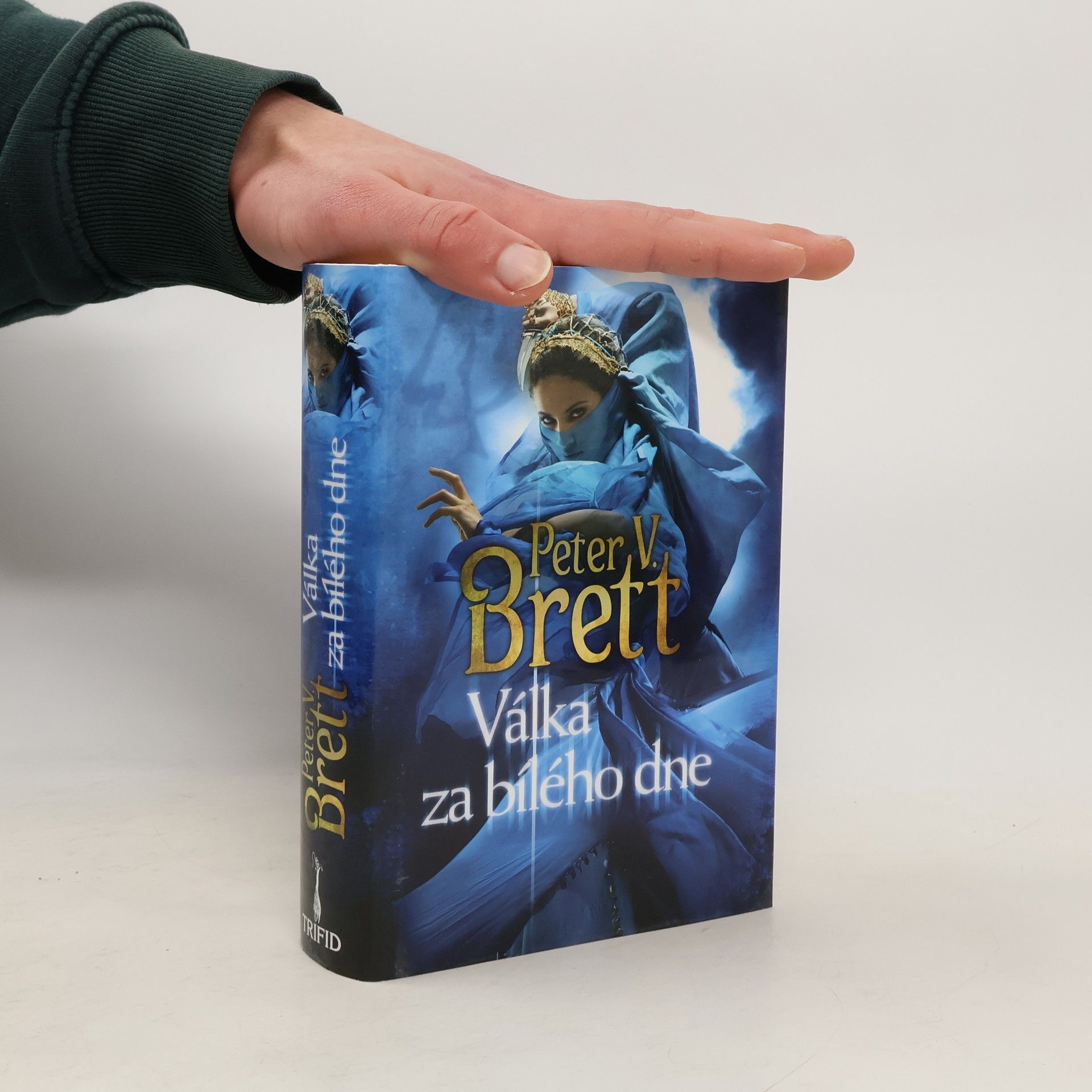 Peter V. Brett Válka za bílého dne