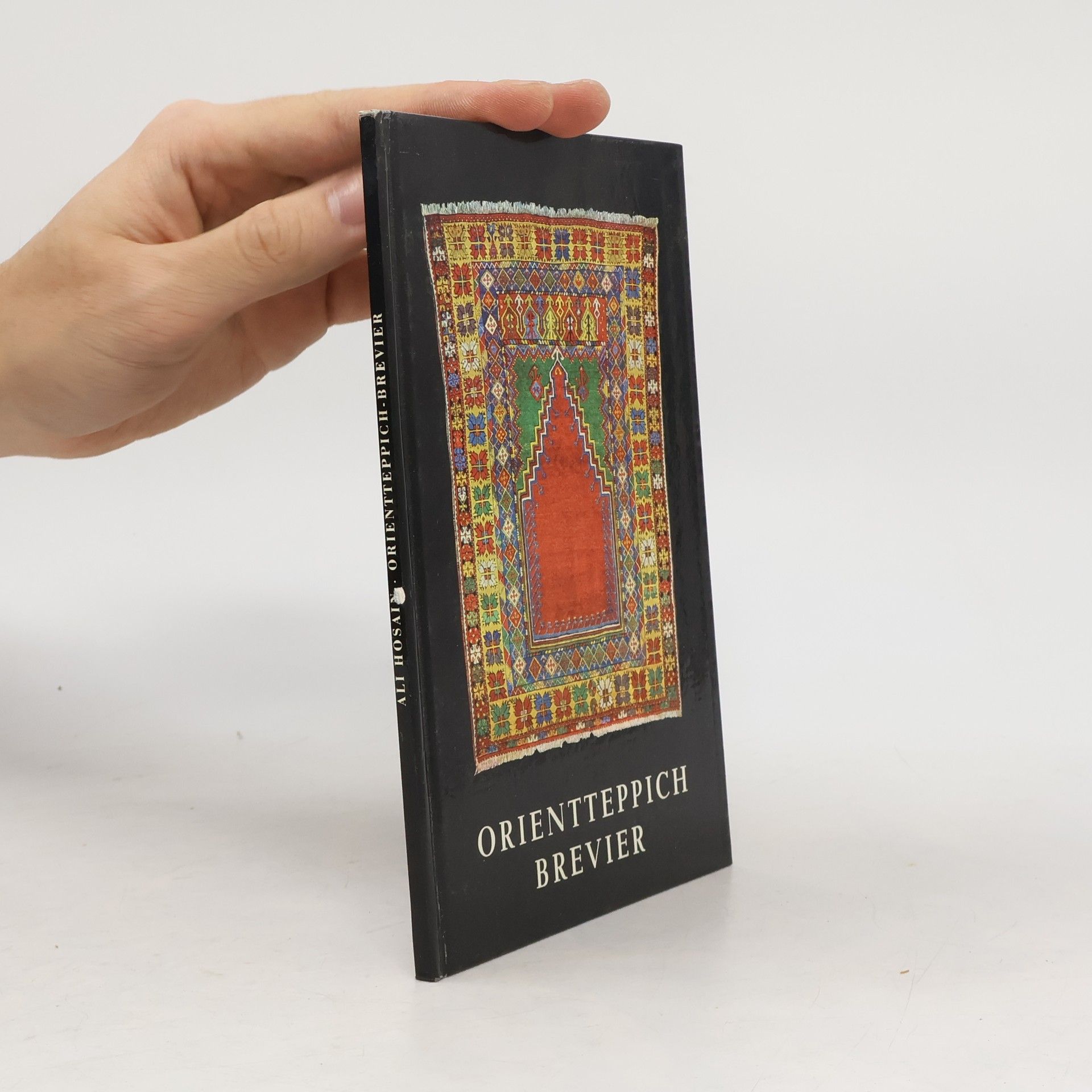 Ali Hosain Orientteppich-Brevier