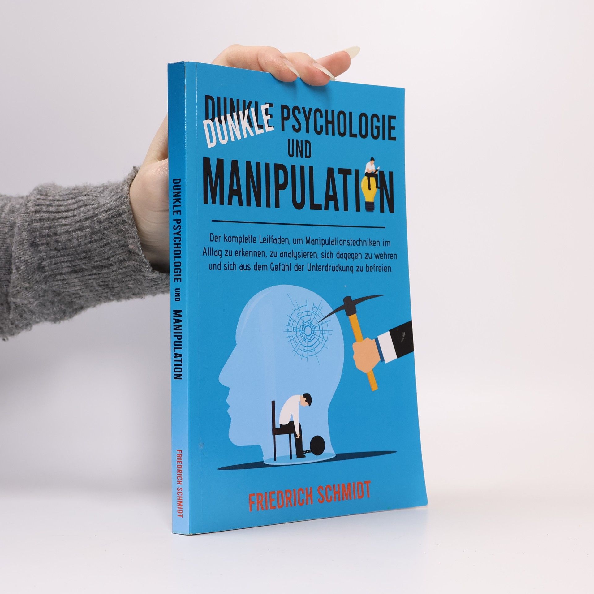 Friedrich Schmidt Dunkle Psychologie und Manipulation