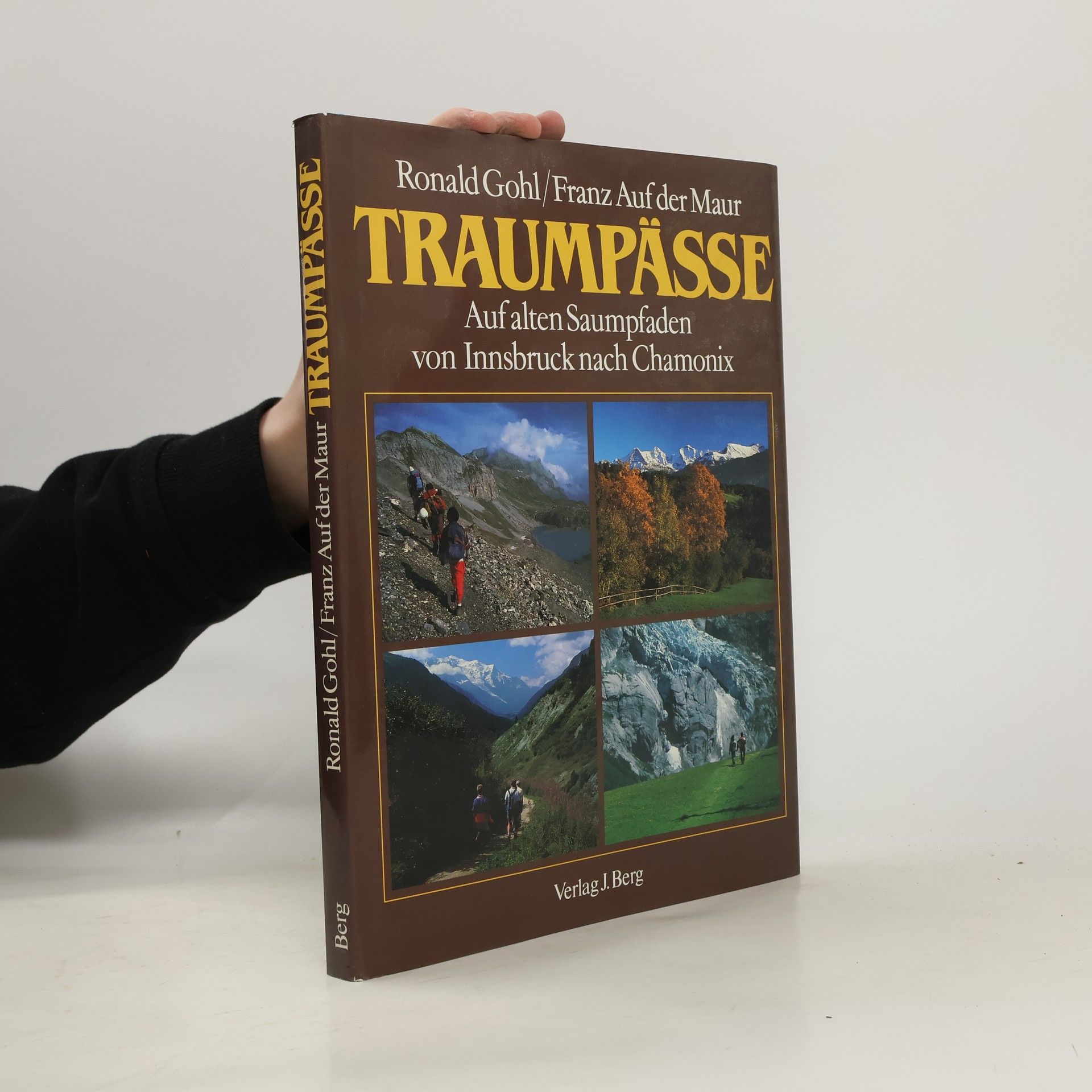 Ronald Gohl Traumpässe