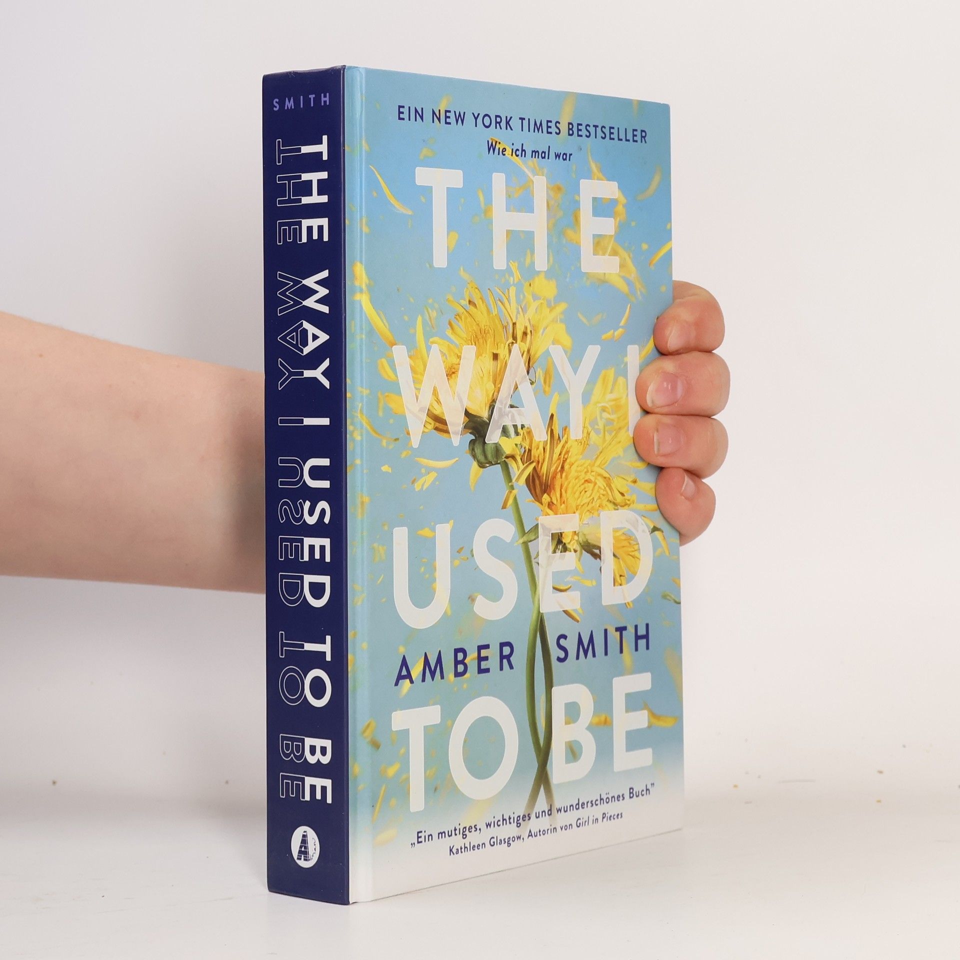 Amber Smith Wie ich mal war. The Way I Used to Be