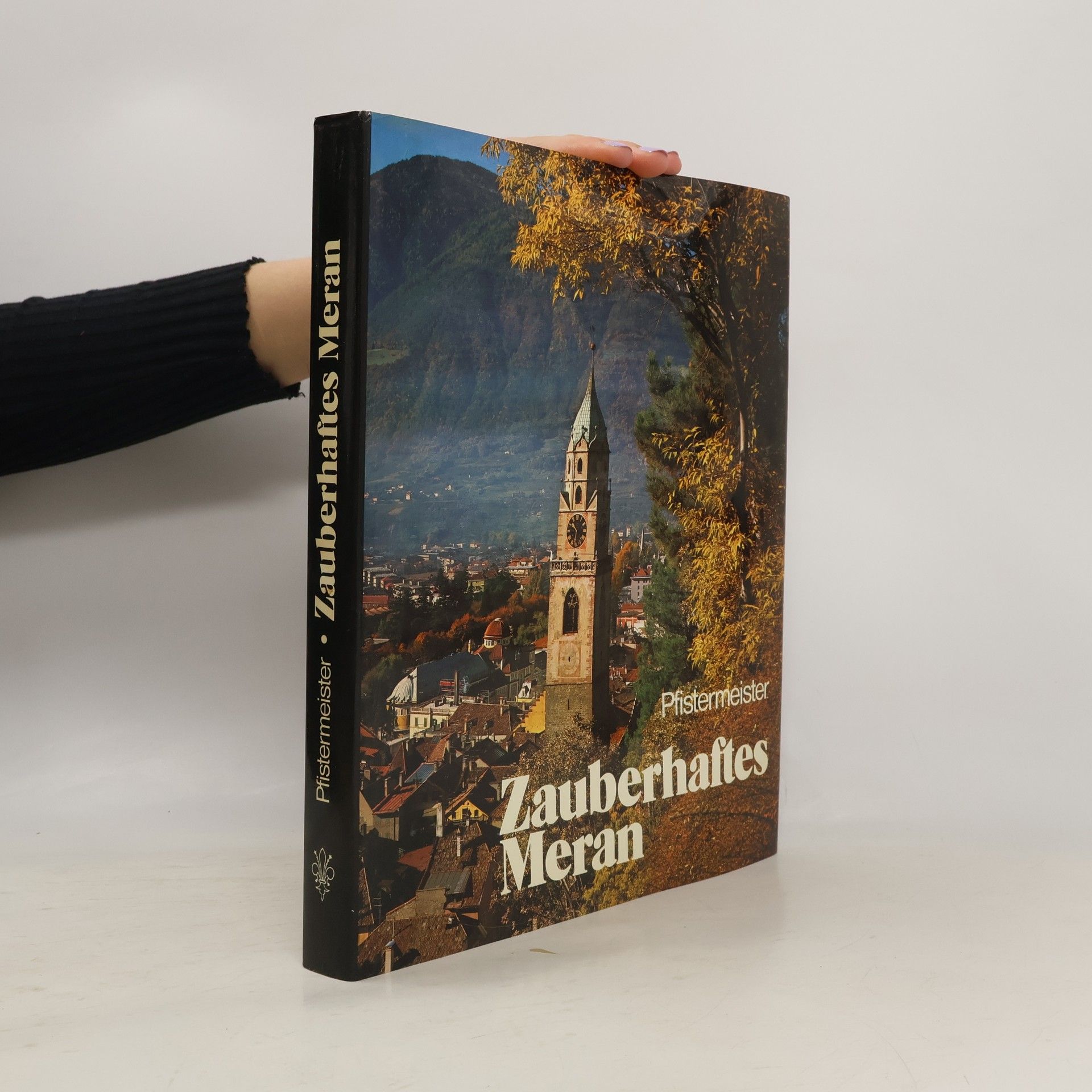 Ursula Pfistermeister Zauberhaftes Meran