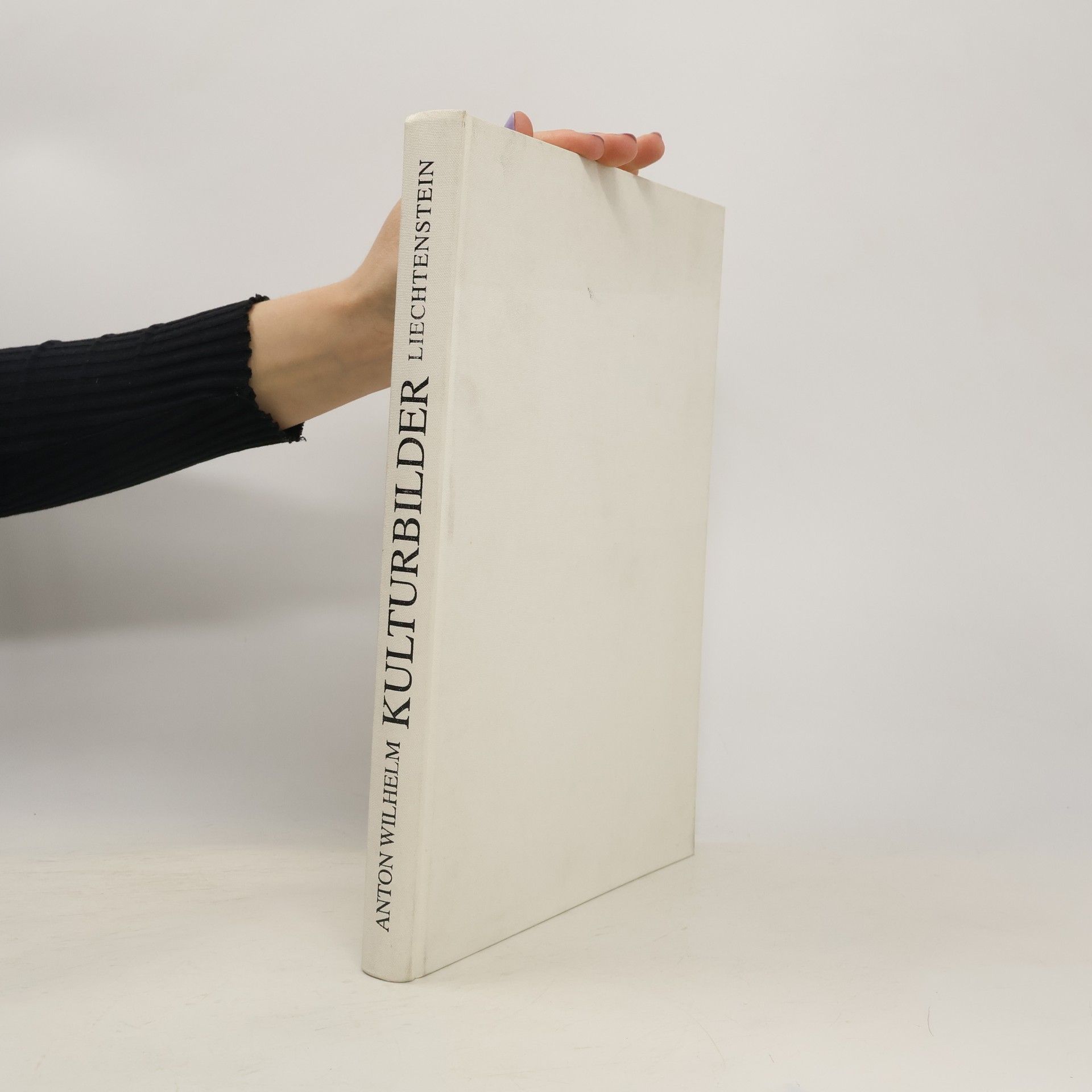 Anton Wilhelm Bau- und Kunstdenkmäler im Fürstentum Liechtenstein