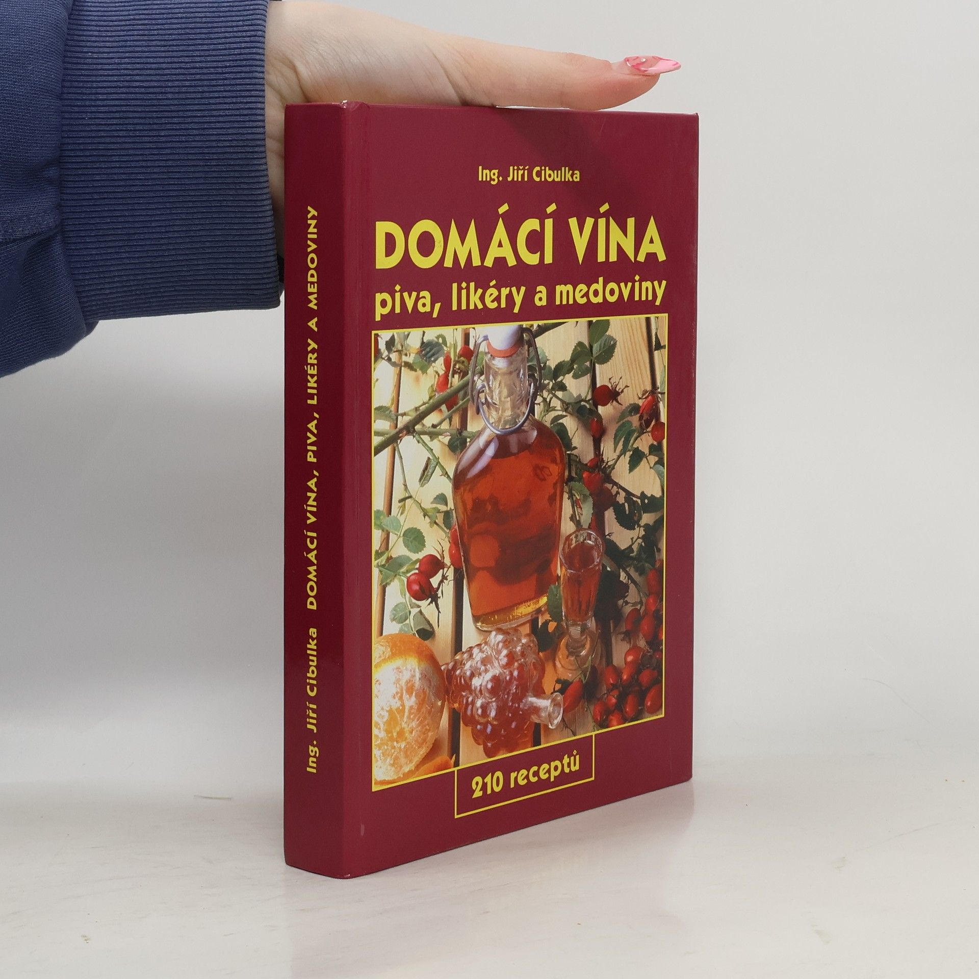 Jiří Cibulka Domácí vína: Piva, likéry a medoviny