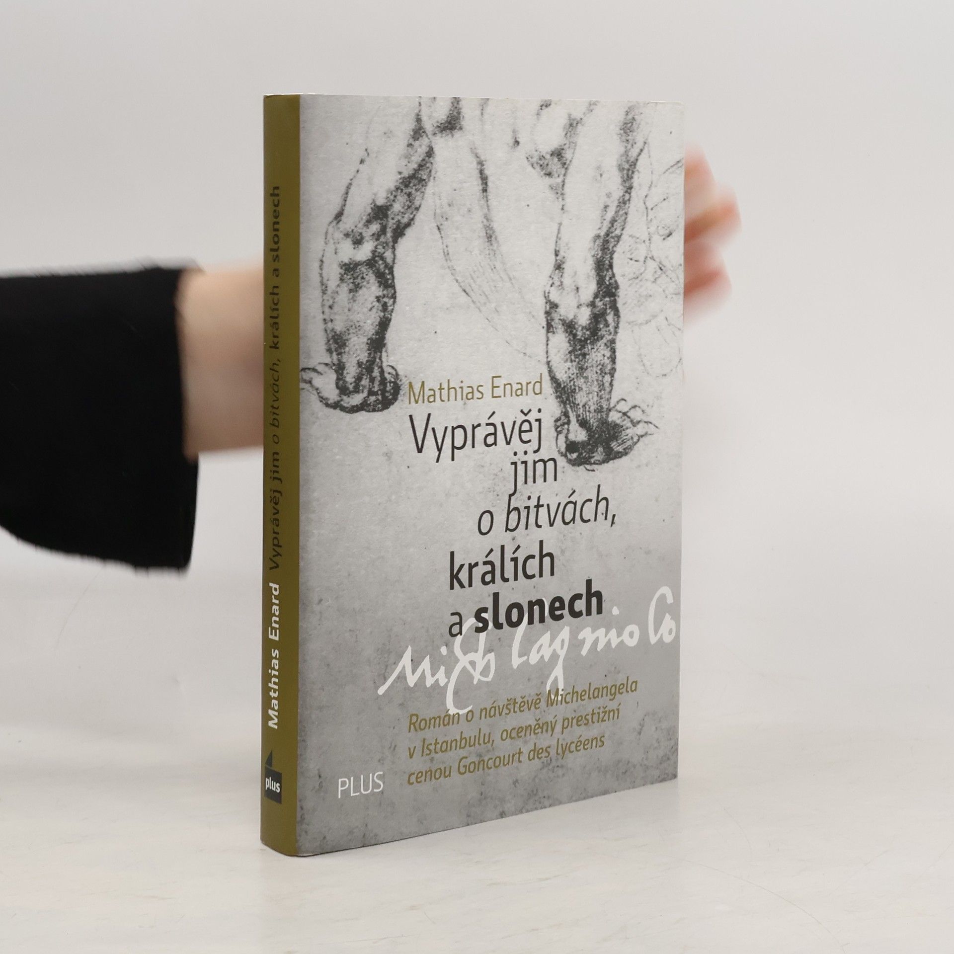 Mathias Énard Vyprávěj jim o bitvách, králích a slonech