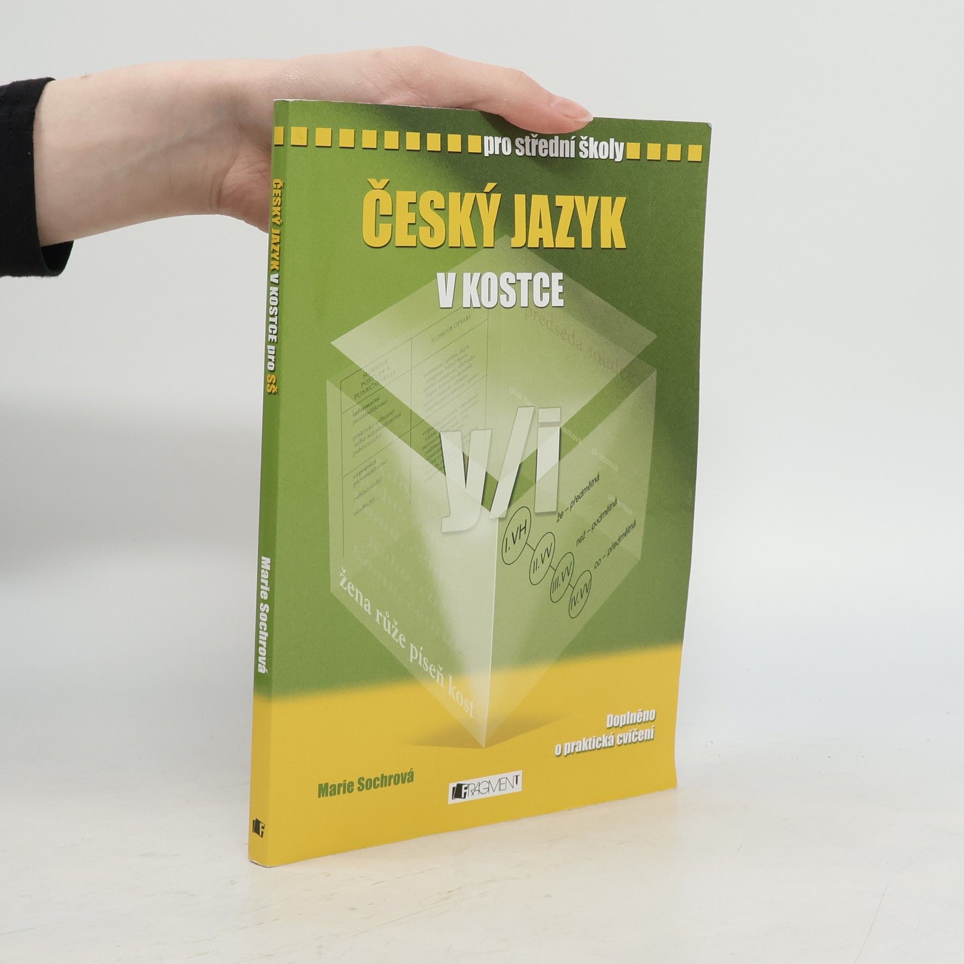 Marie Sochrová Český jazyk v kostce : pro střední školy