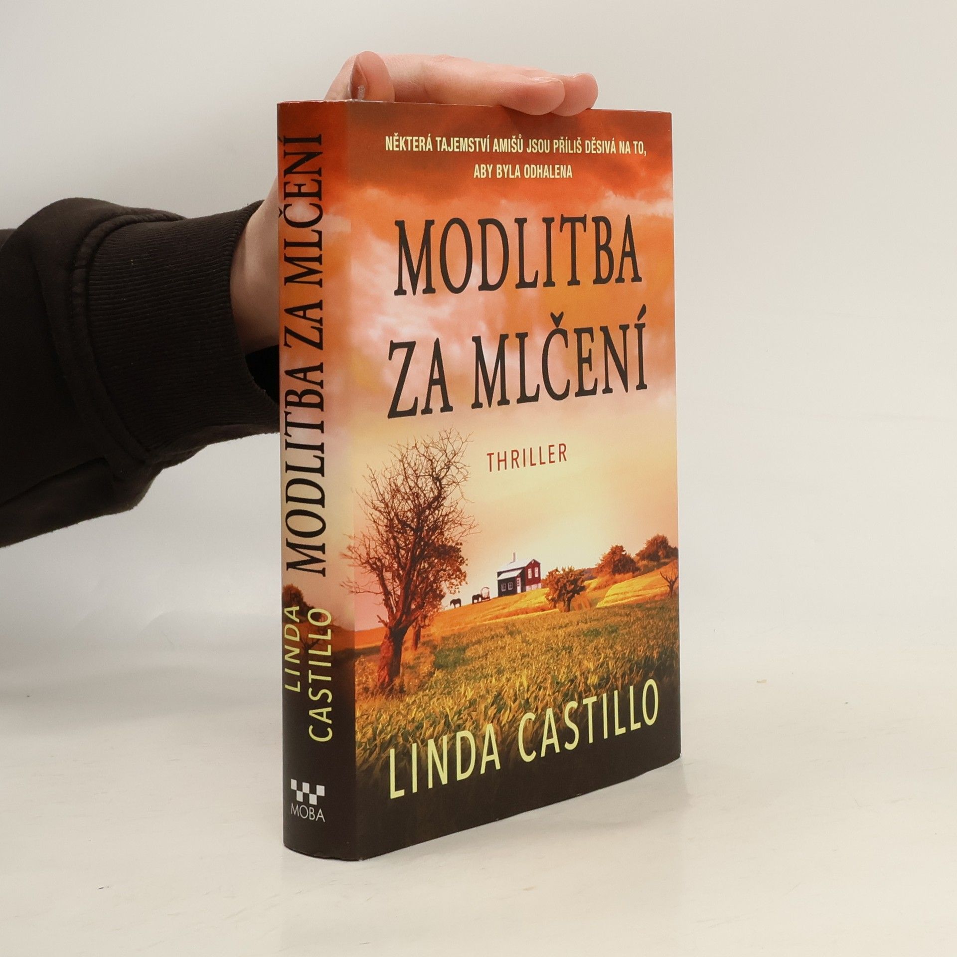 Linda Castillo Modlitba za mlčení