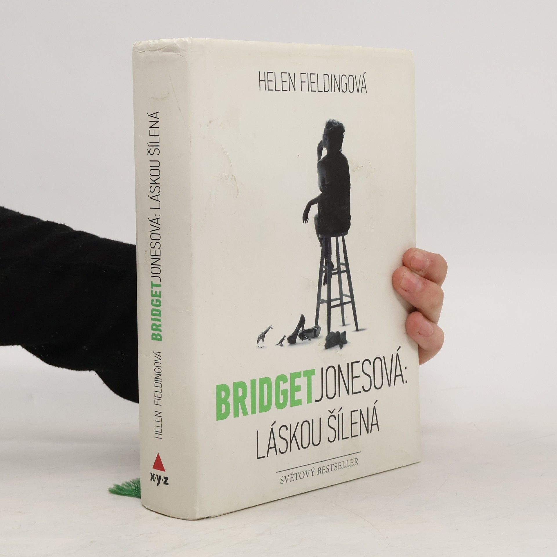 Helen Fielding Bridget Jonesová. Láskou šílená