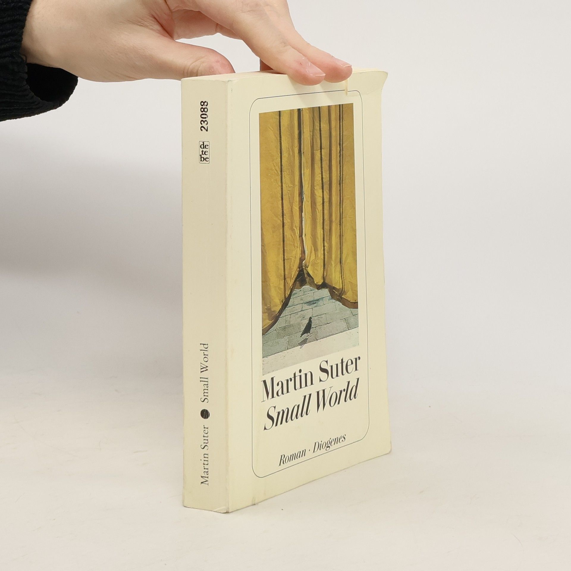 Martin Suter Small World