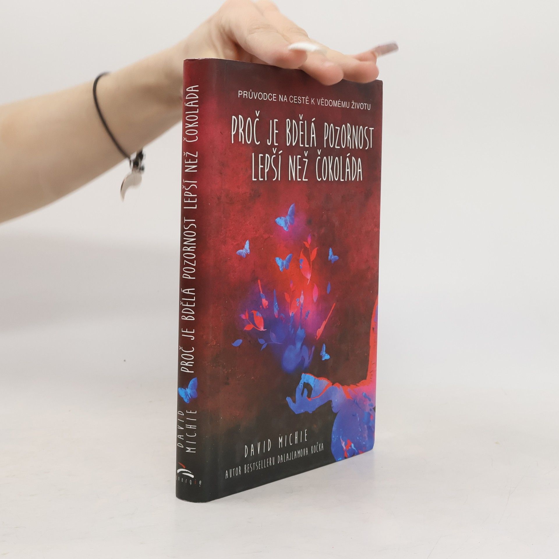 David Michie Proč je bdělá pozornost lepší než čokoláda