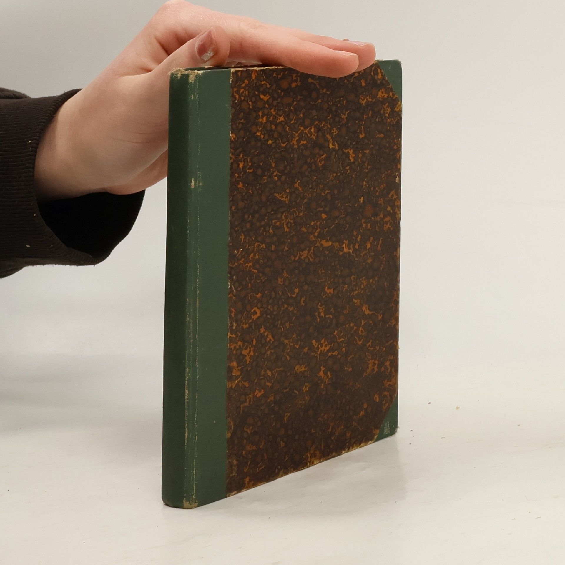 Albert Delpit Šílená láska