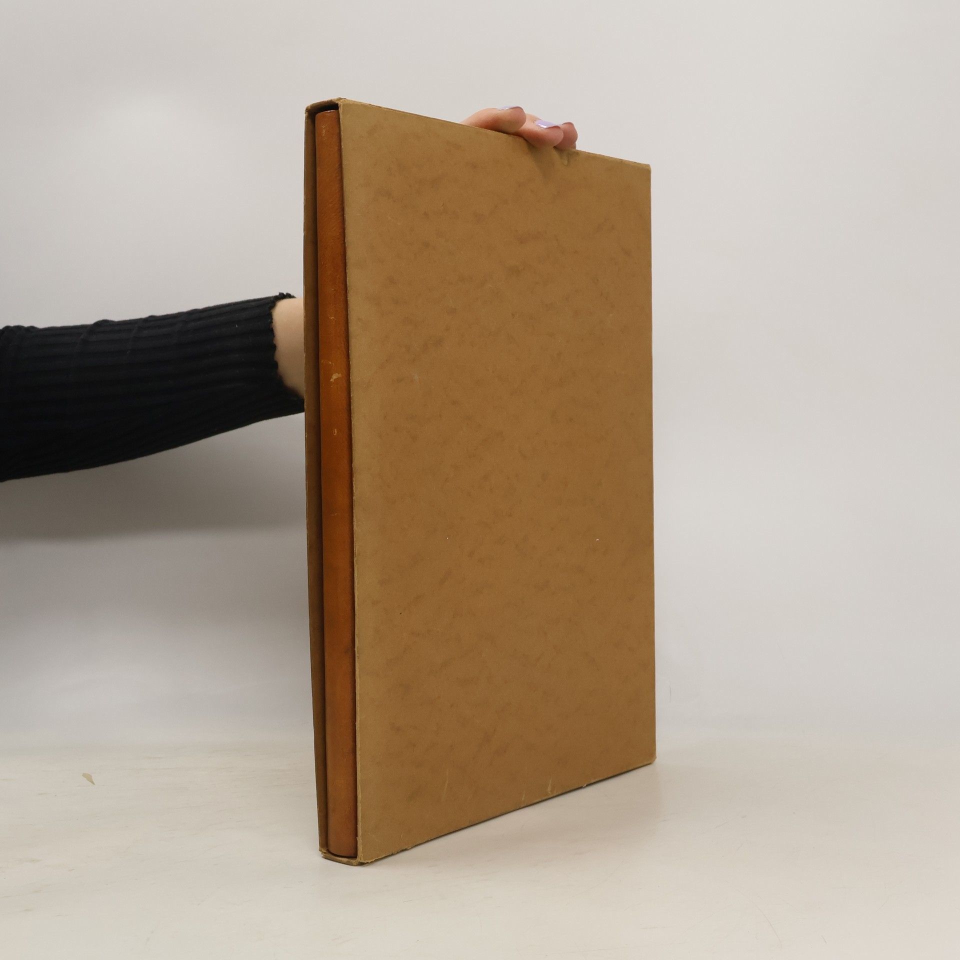 Various authors Ústřední budova Elektrických podniků hlavního města Prahy