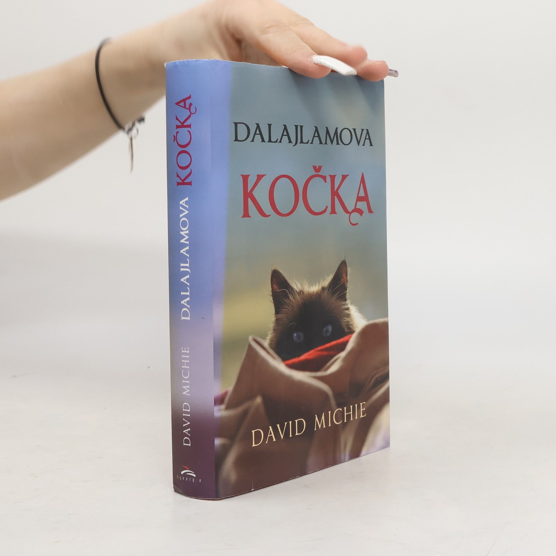 David Michie Dalajlamova kočka