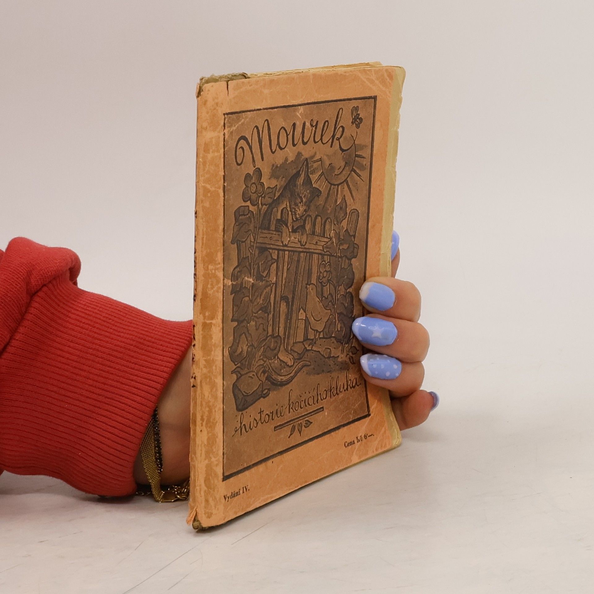 Vladimír Mazálek Mourek - historie kočičího kluka