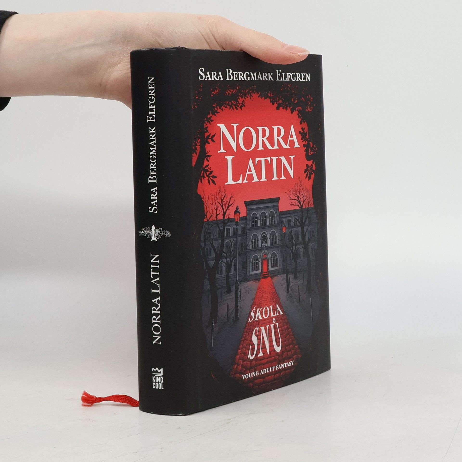 Sara Bergmark Elfmark Norra Latin. Škola snů