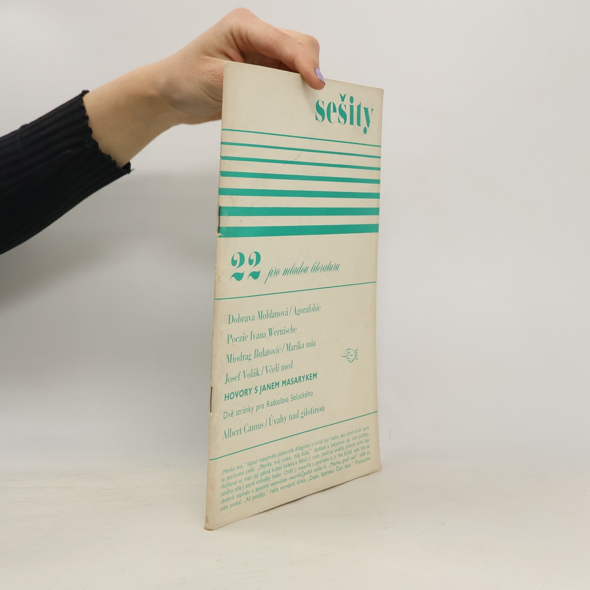 Various authors Sešity pro mladou literaturu 22