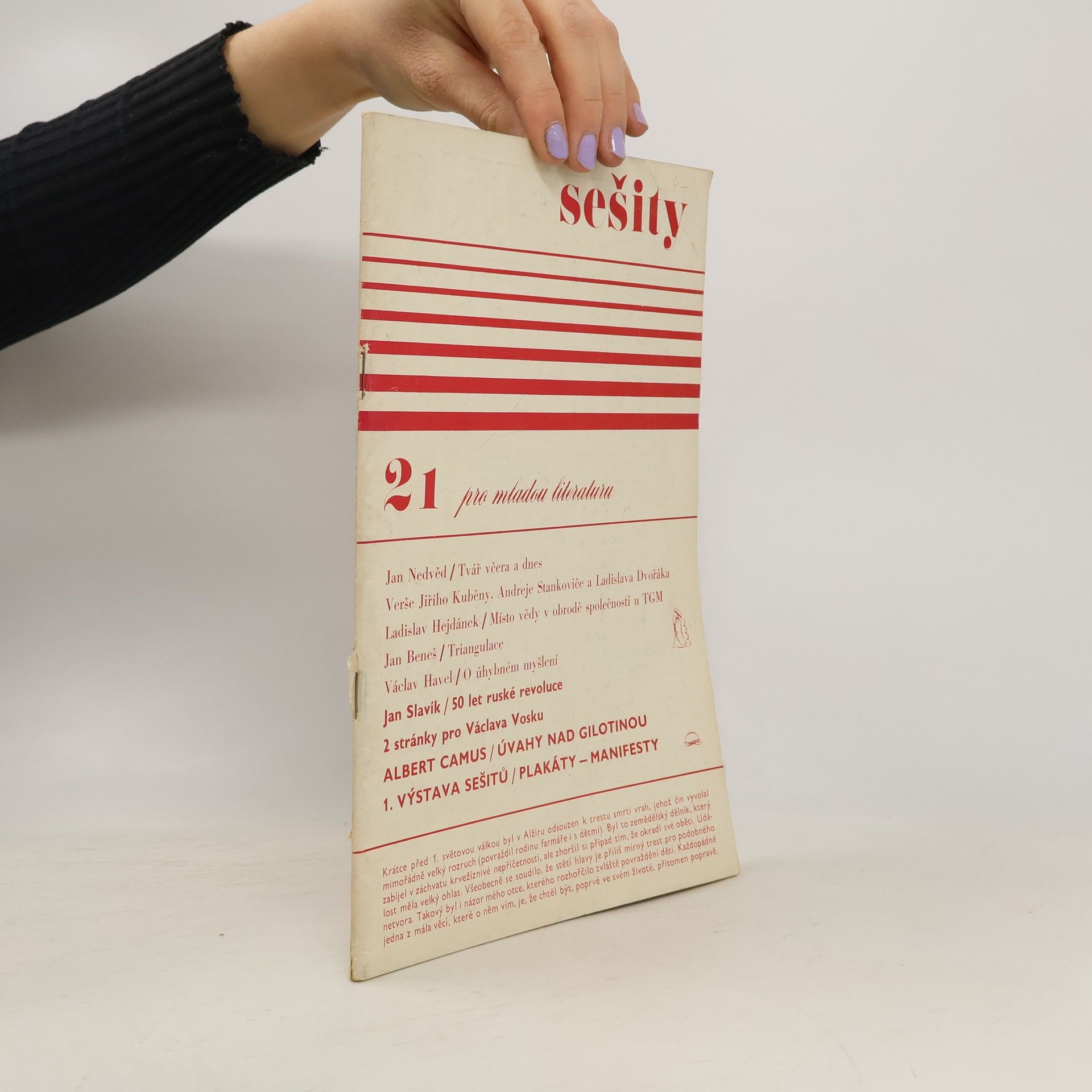 Various authors Sešity pro mladou literaturu 21