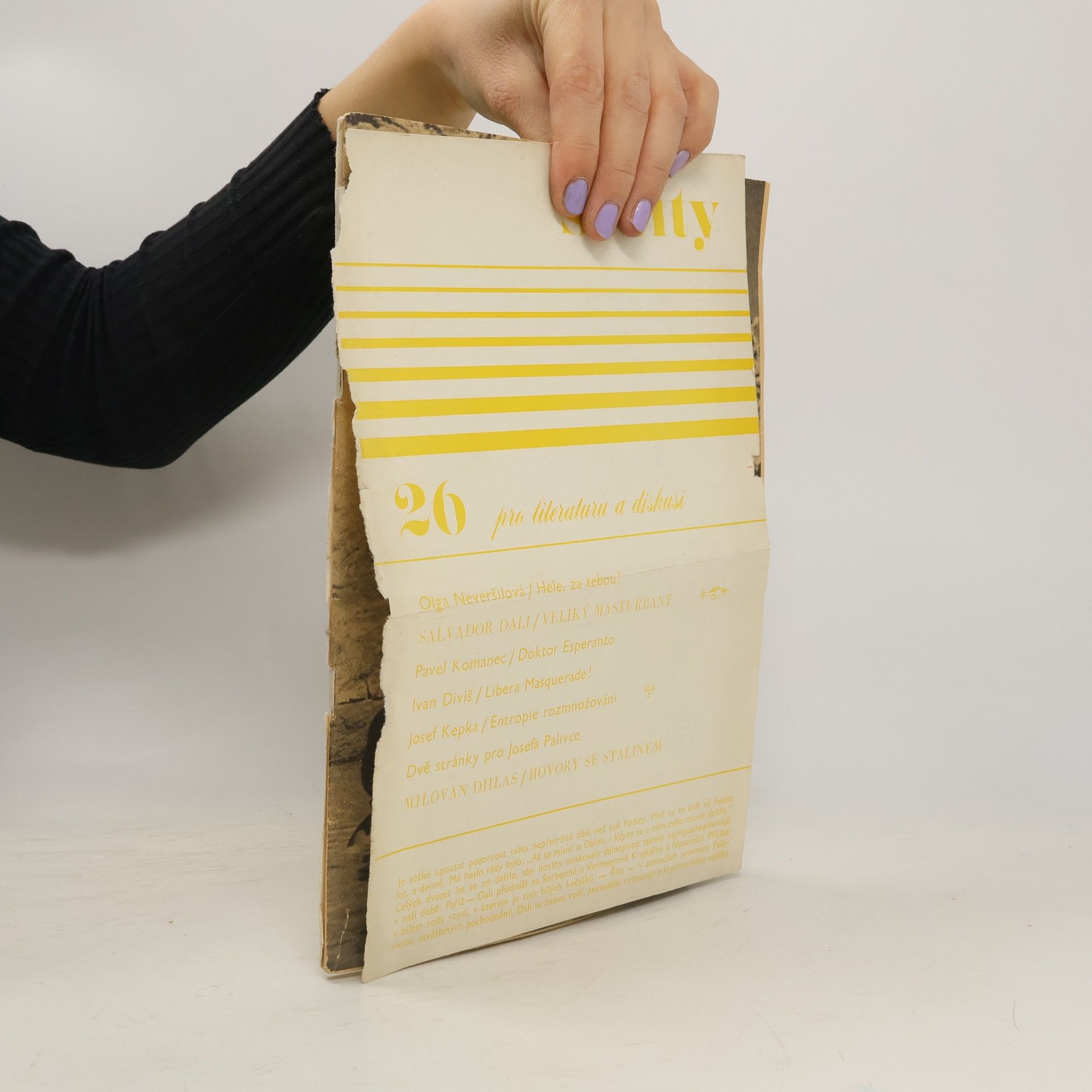 Autorenkollektiv Sešity pro literaturu a diskusi 26