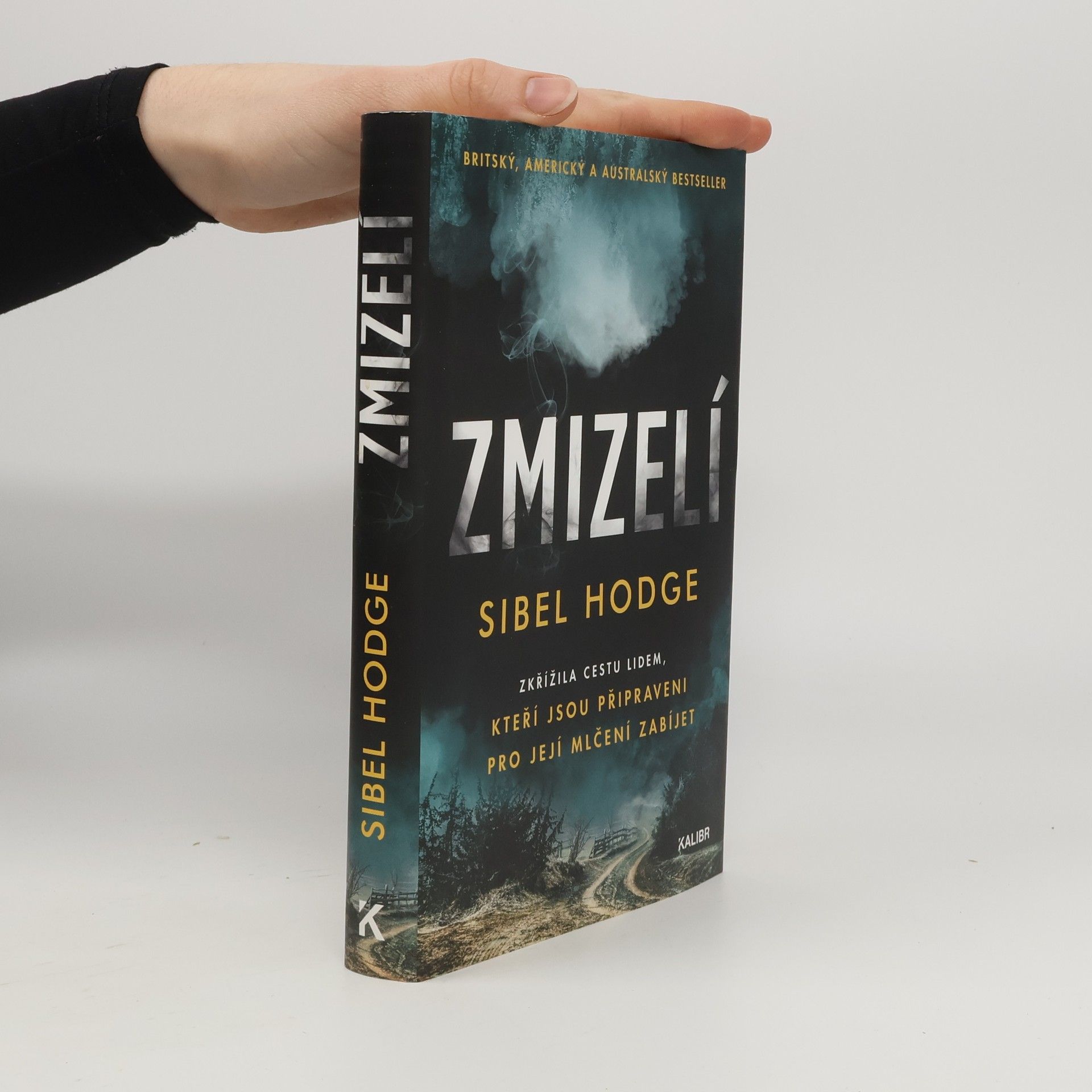 Sibel Hodge Zmizelí