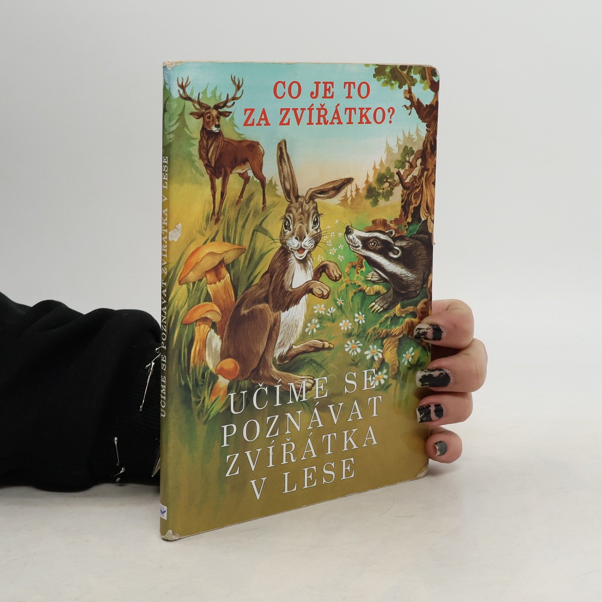 Eva Bešťáková Učíme se poznávat zvířátka v lese