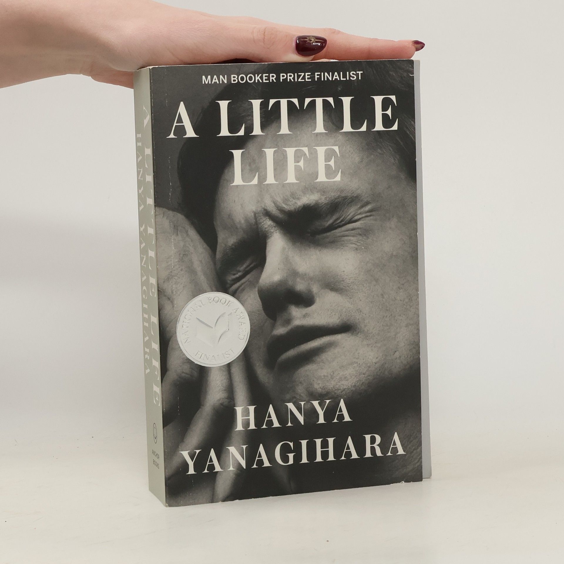 Hanya Yanagihara A Little Life