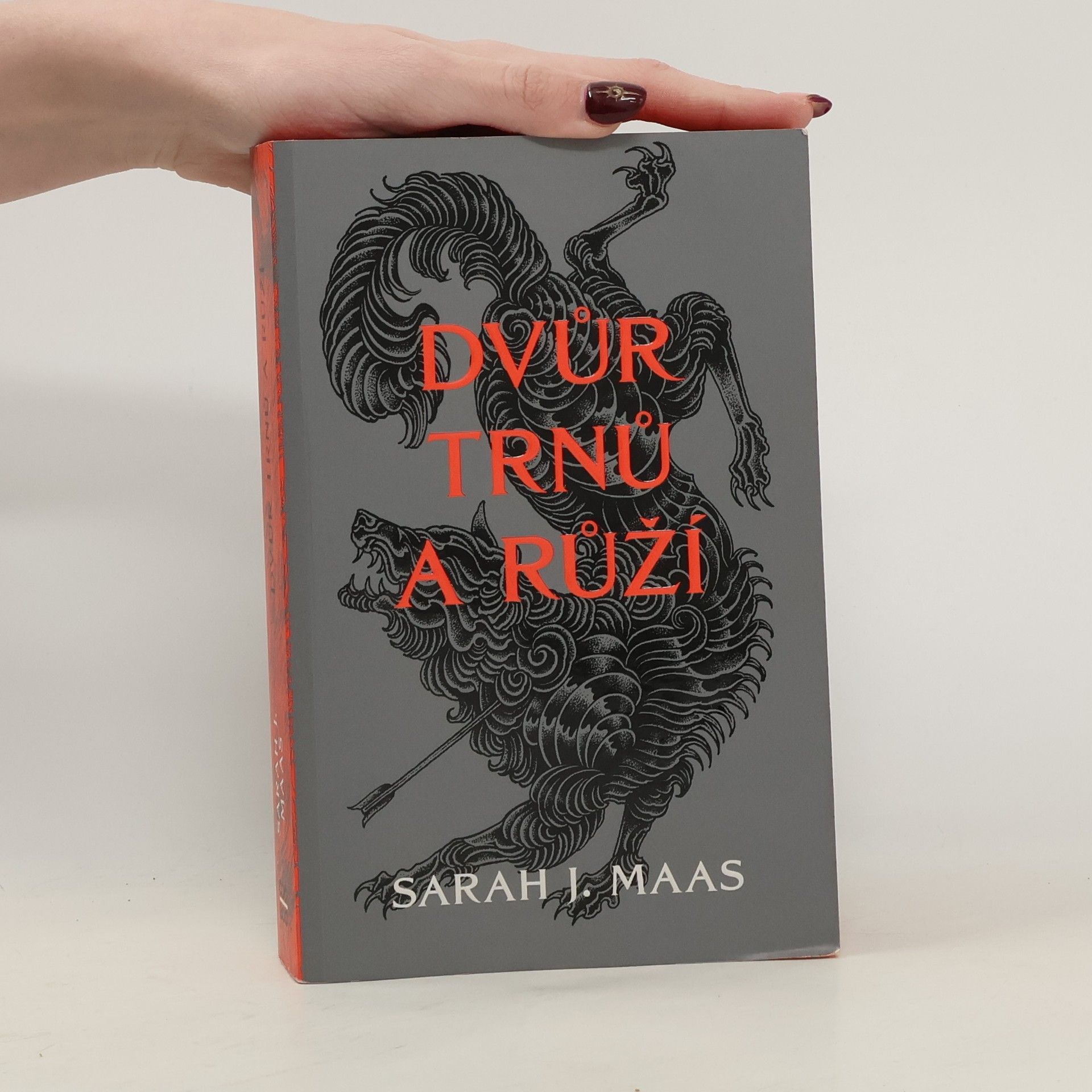 Sarah J. Maas Dvůr trnů a růží