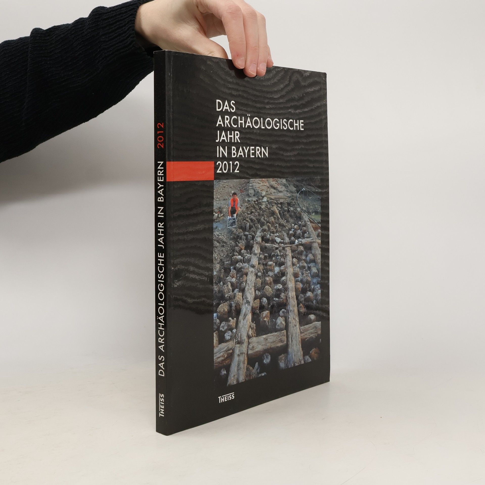 Autorenkollektiv Das archäologische Jahr in Bayern 2012