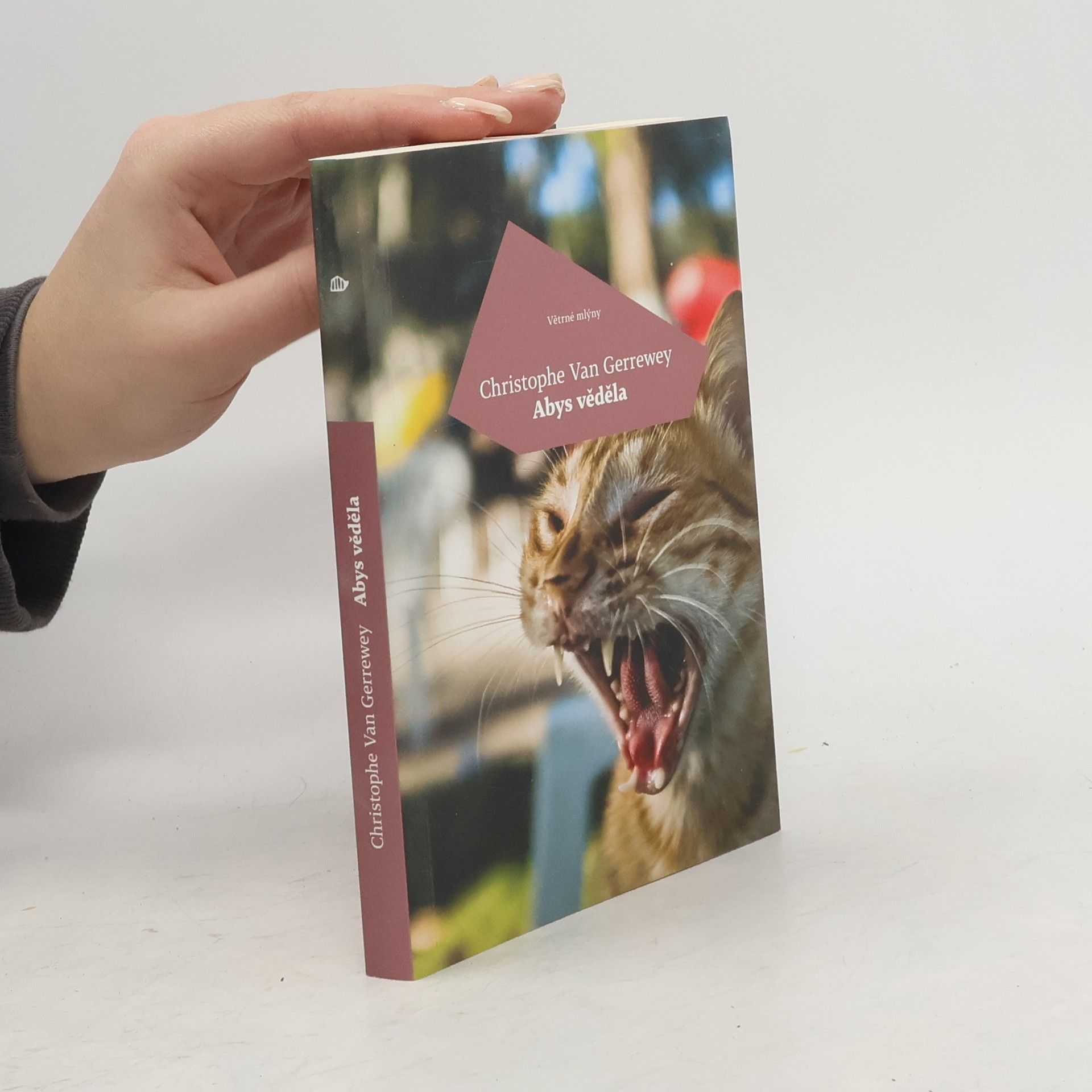 Christophe Van Gerrewey Abys věděla