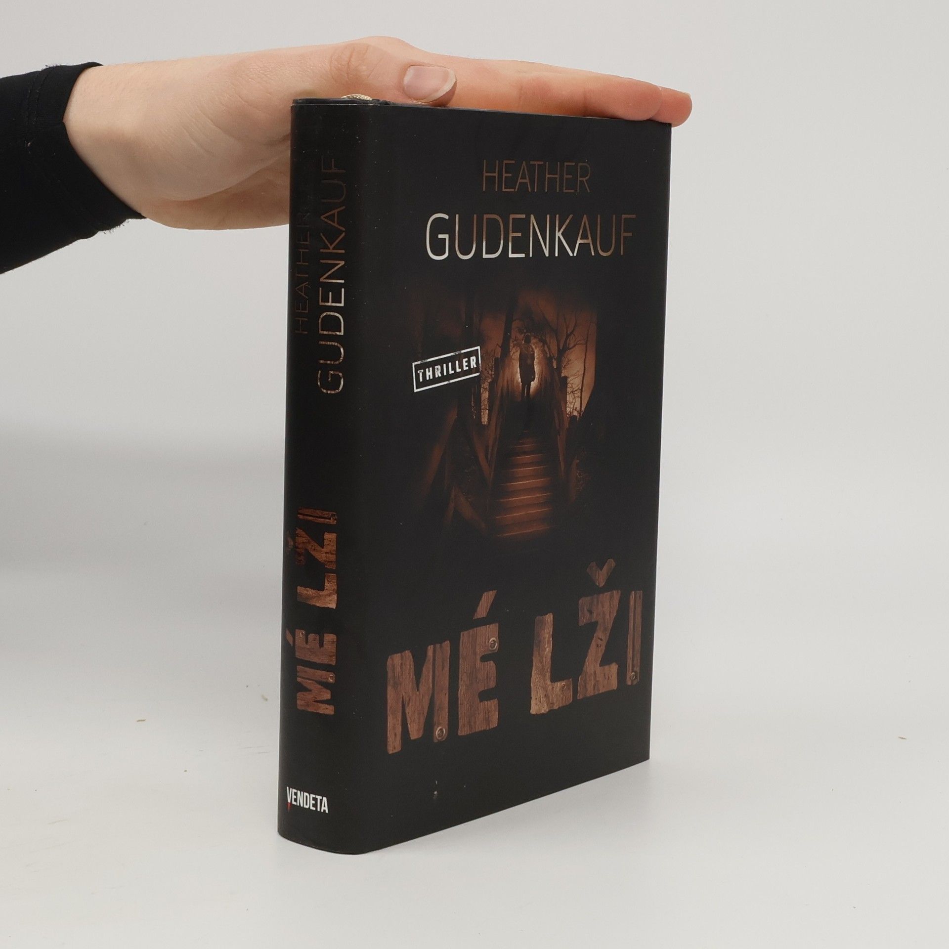 Heather Gudenkauf Mé lži