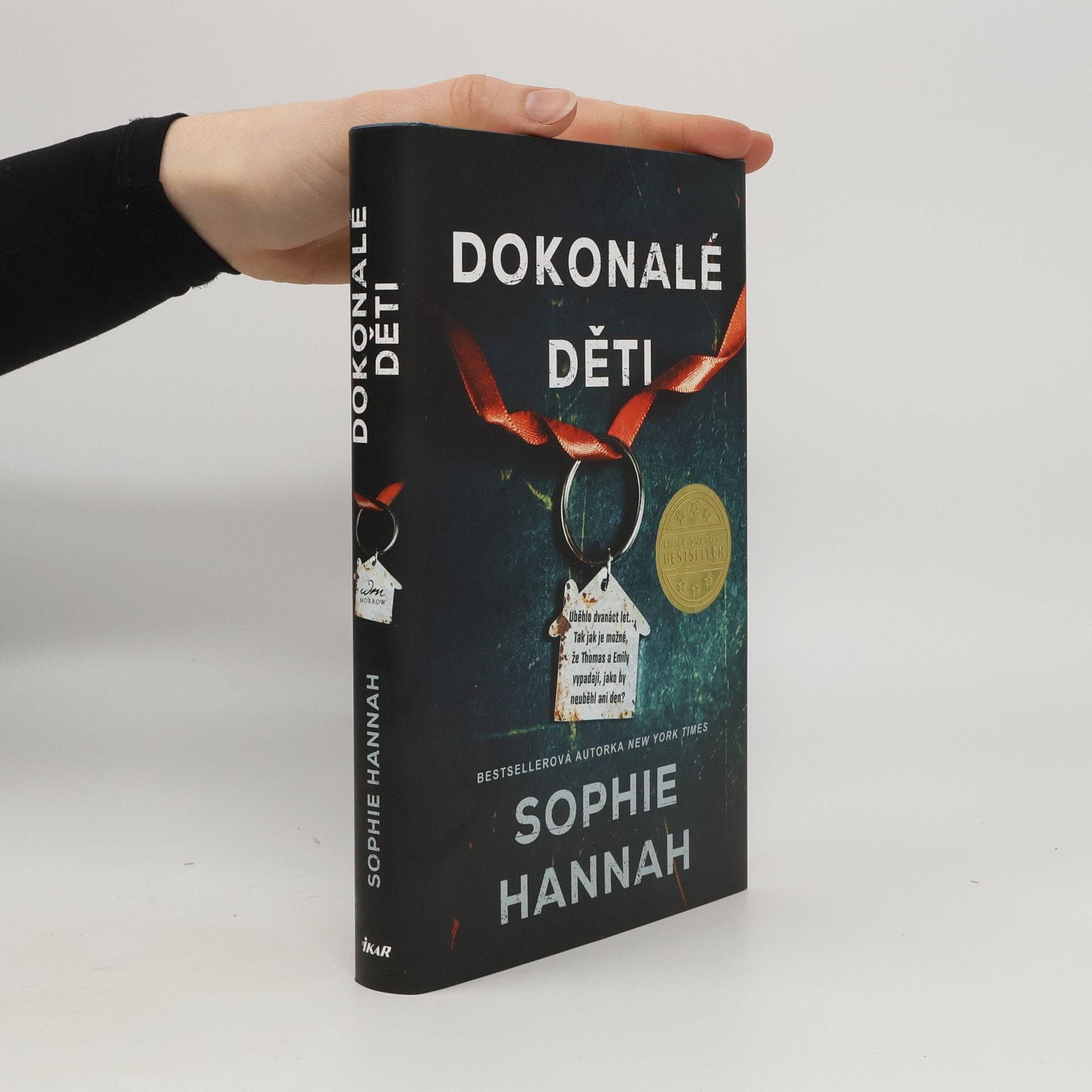 Sophie Hannah Dokonalé děti