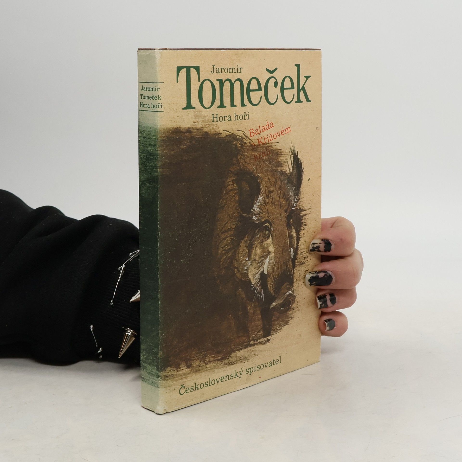 Hora hoří. Balada o Křížovém králi