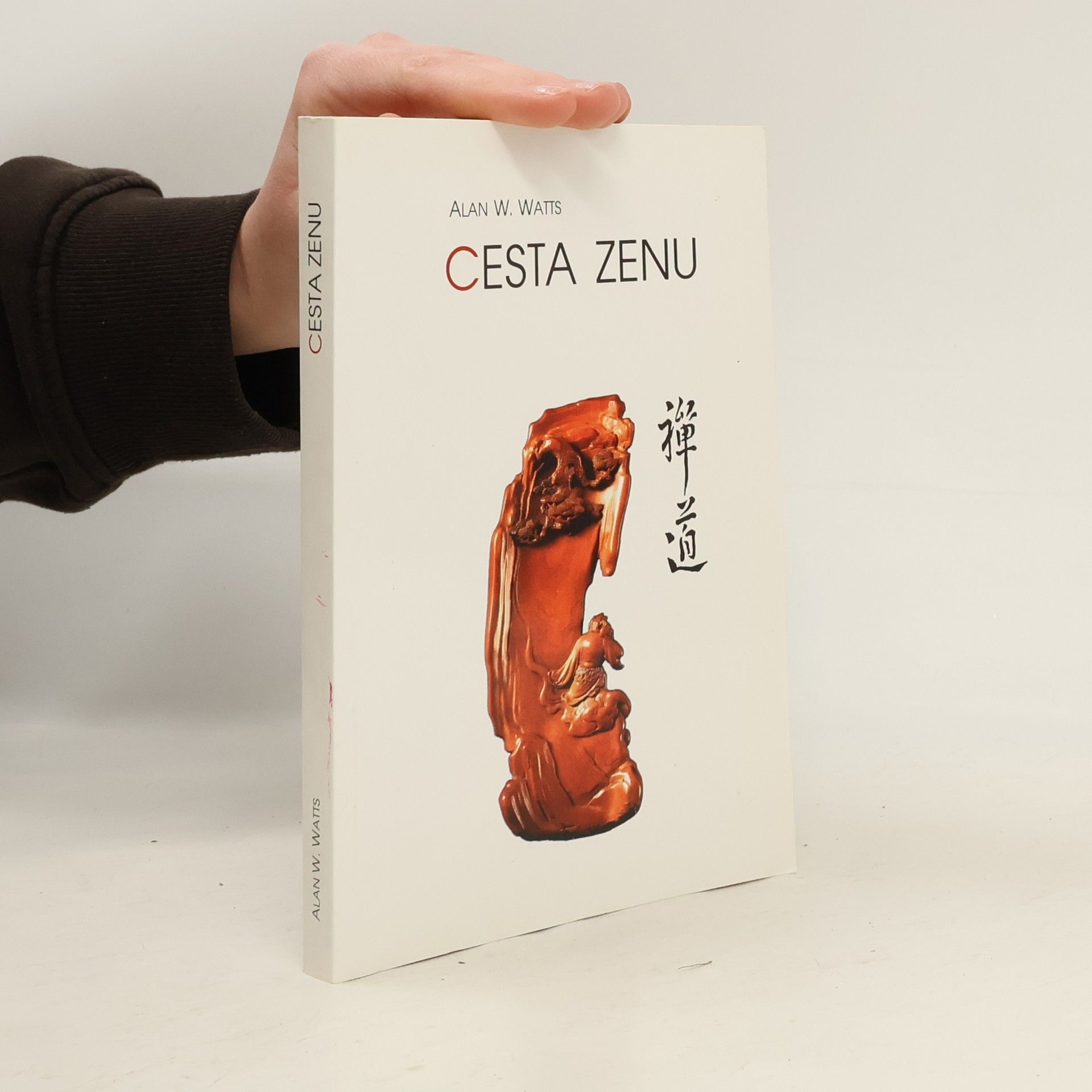 Alan Watts Cesta zenu