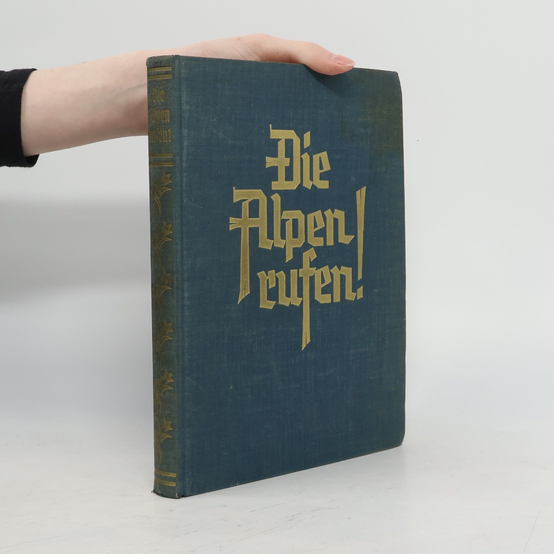 Carl O. Koch Die Alpen rufen!