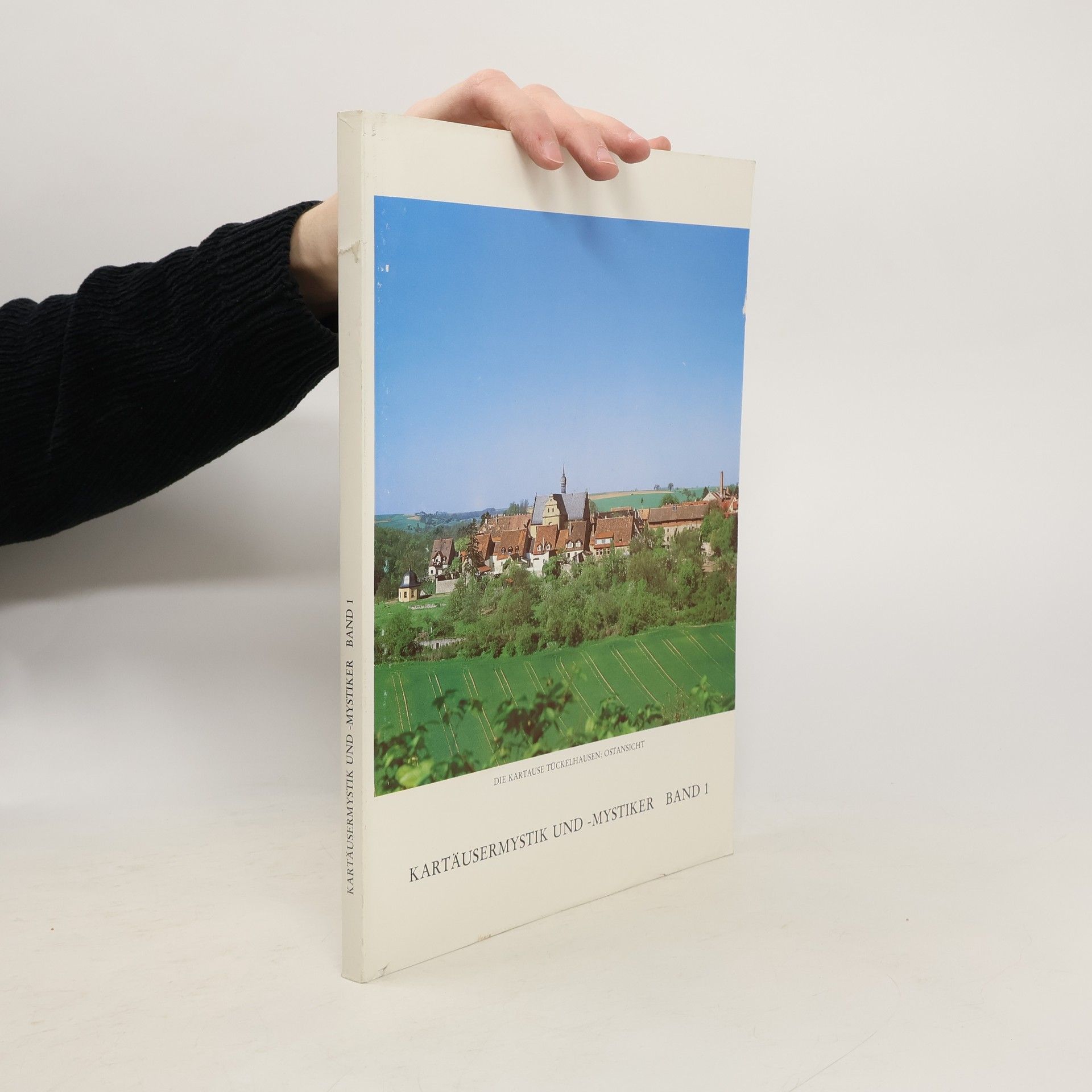 Autorenkollektiv Kartäusermystik und -Mystiker