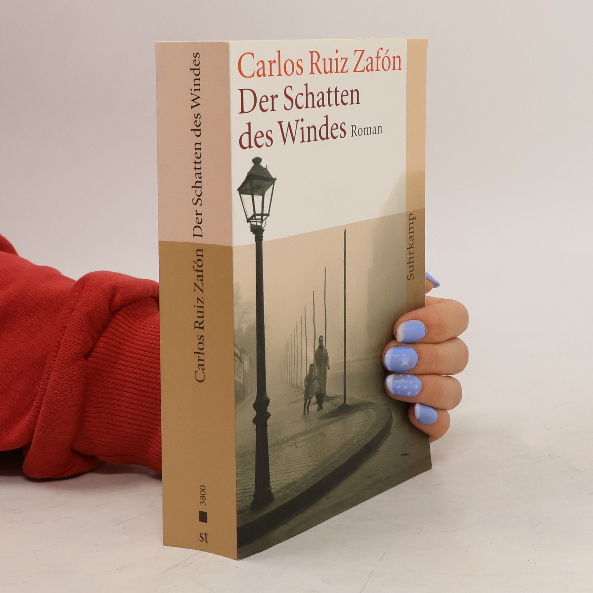 Der Schatten des Windes