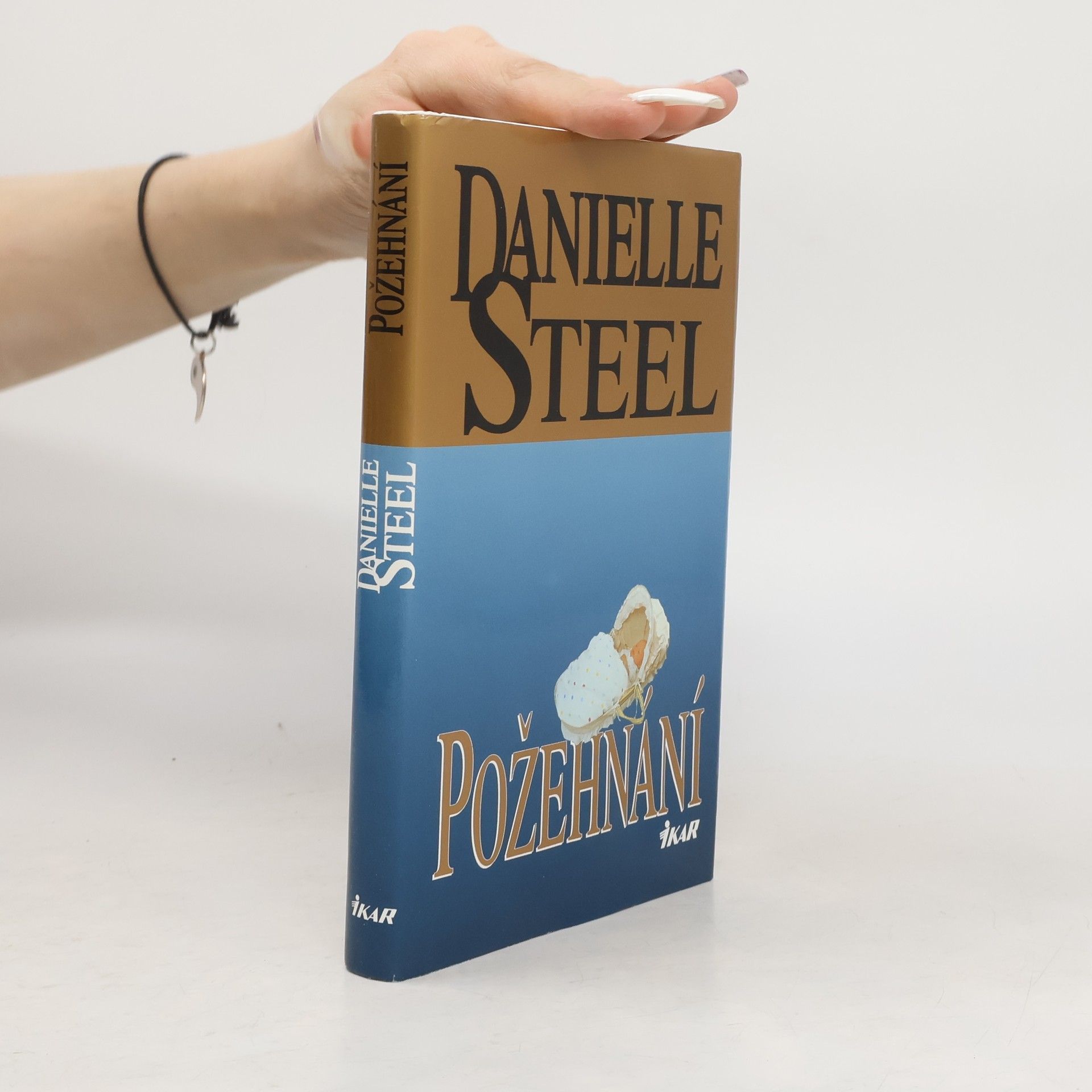Danielle Steel Požehnání