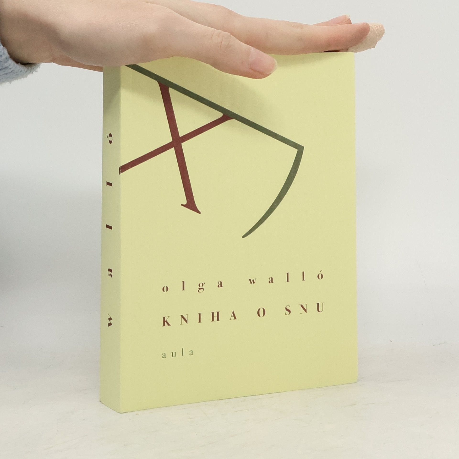 Kniha o snu. Než to všechno začne znovu